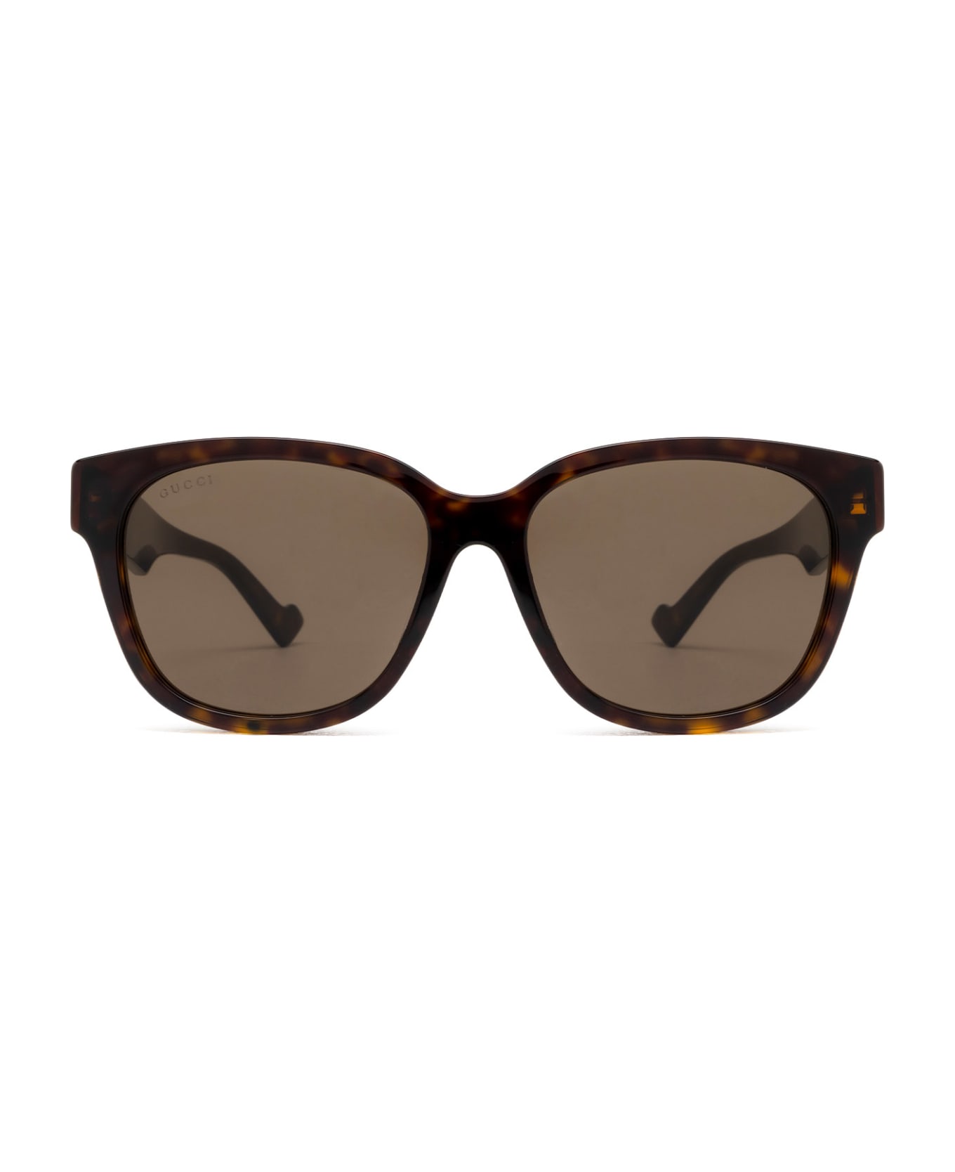 Gucci Eyewear Gg1430sk Havana Sunglasses - Havana