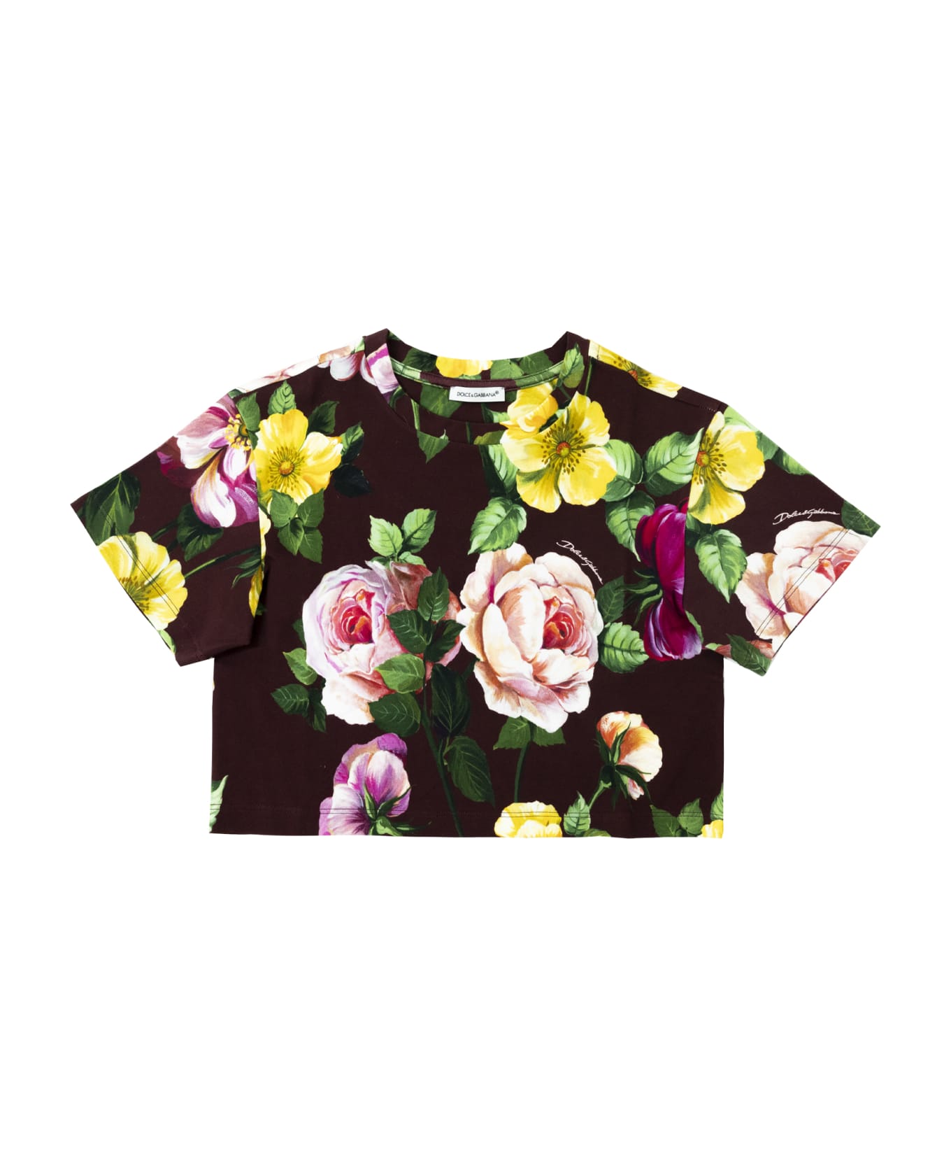 Dolce & Gabbana Crop T-shirt With Flower Print - Multicolor