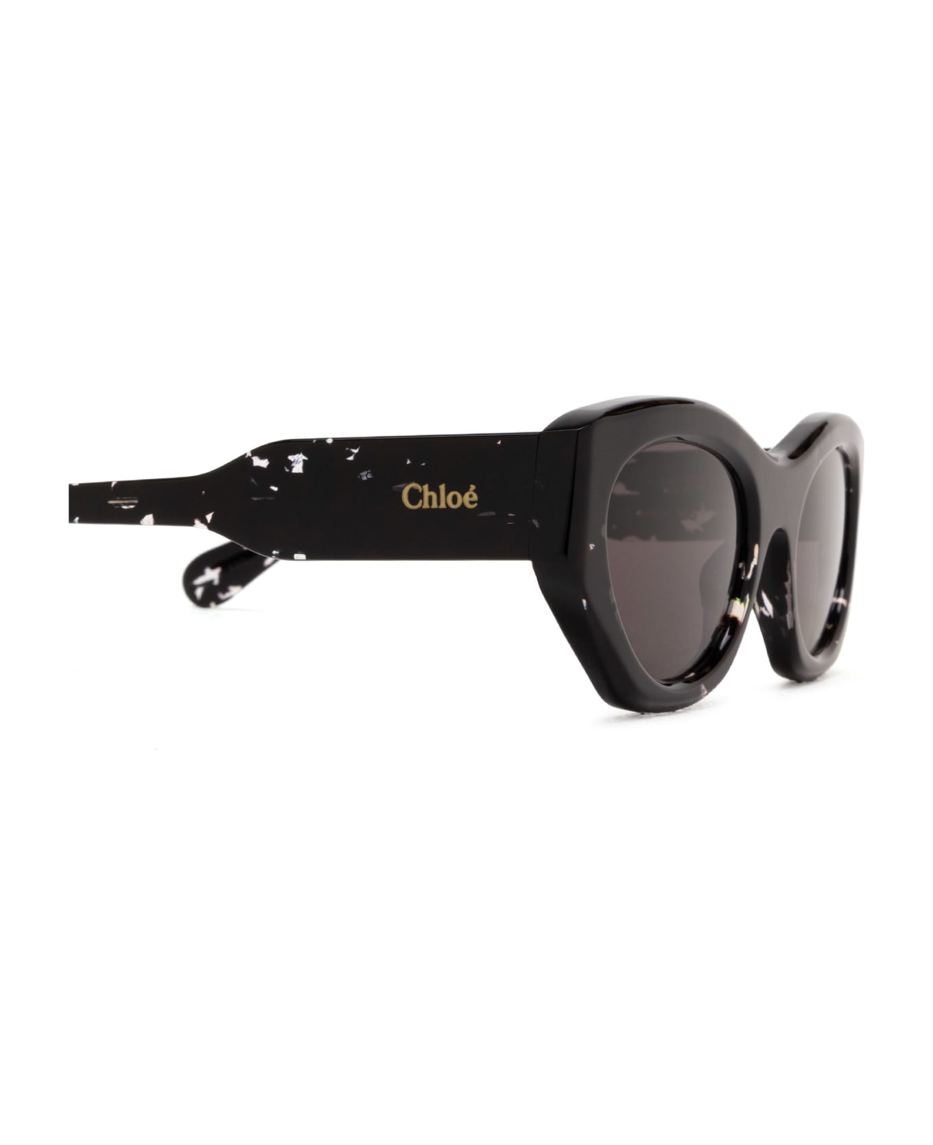 Chloé Eyewear Ch0220s Black Sunglasses - Black