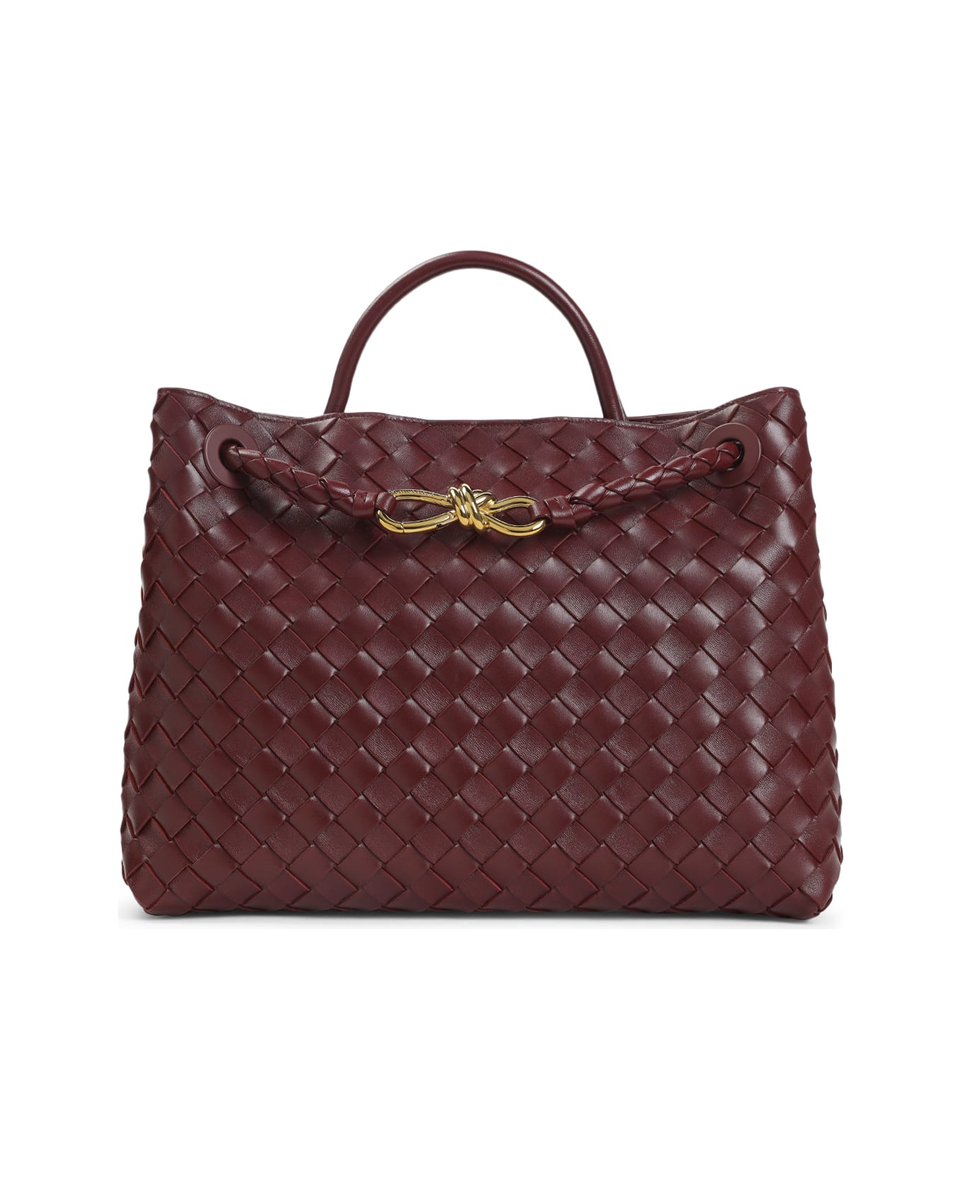 Bottega Veneta Andiamo Medium Bag - Barolo
