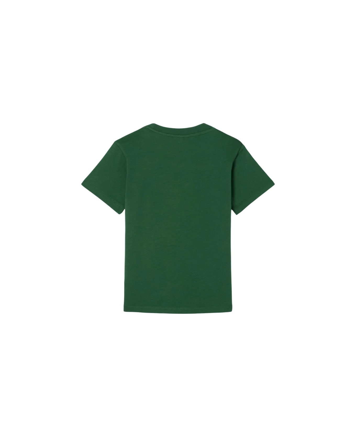 Lacoste T-shirt - GREEN