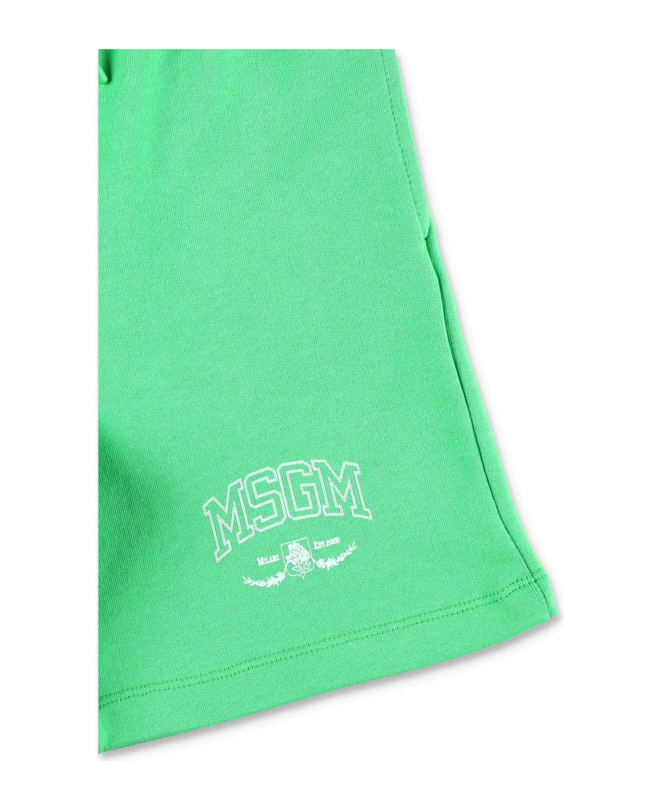 MSGM Bermuda Fleece - VERDE/GREEN