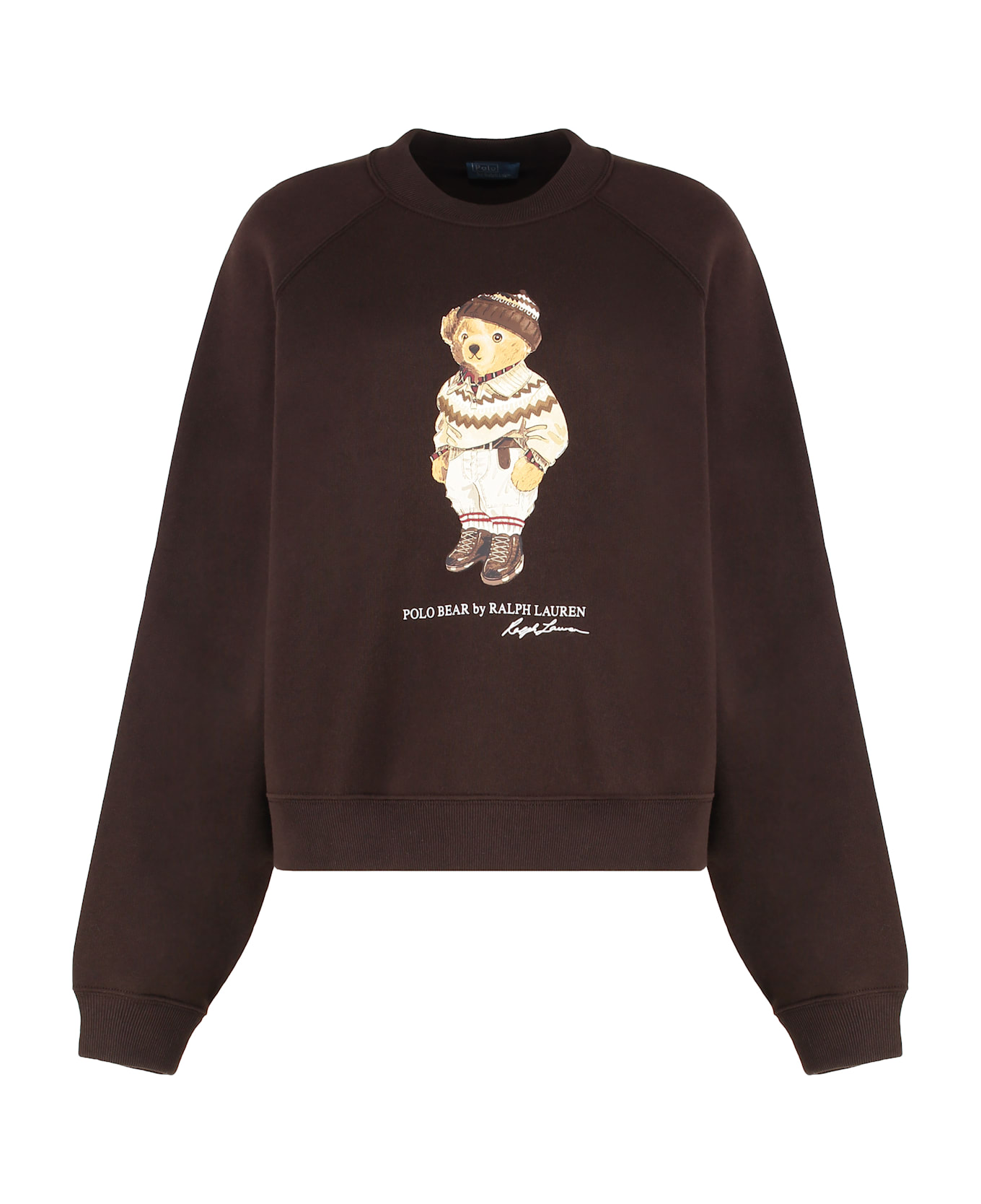 Polo Ralph Lauren Sweatshirt In Cotton - brown