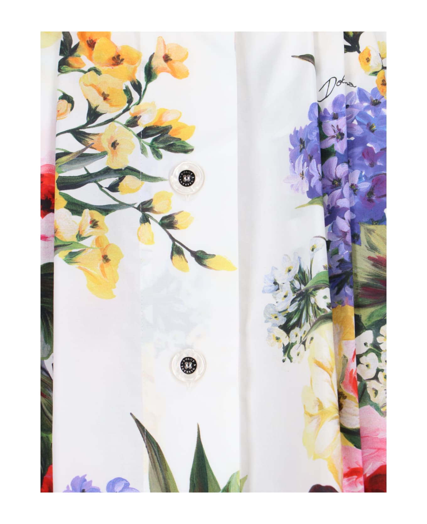 Dolce & Gabbana 'giardino' Print Skirt - Multicolor