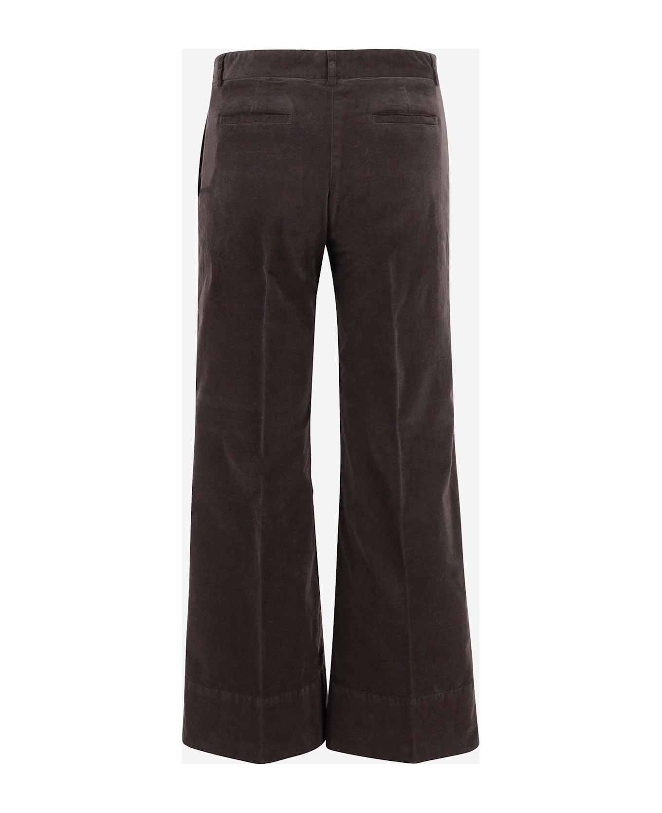 QL2 Stretch Cotton Melody Pants - Brown