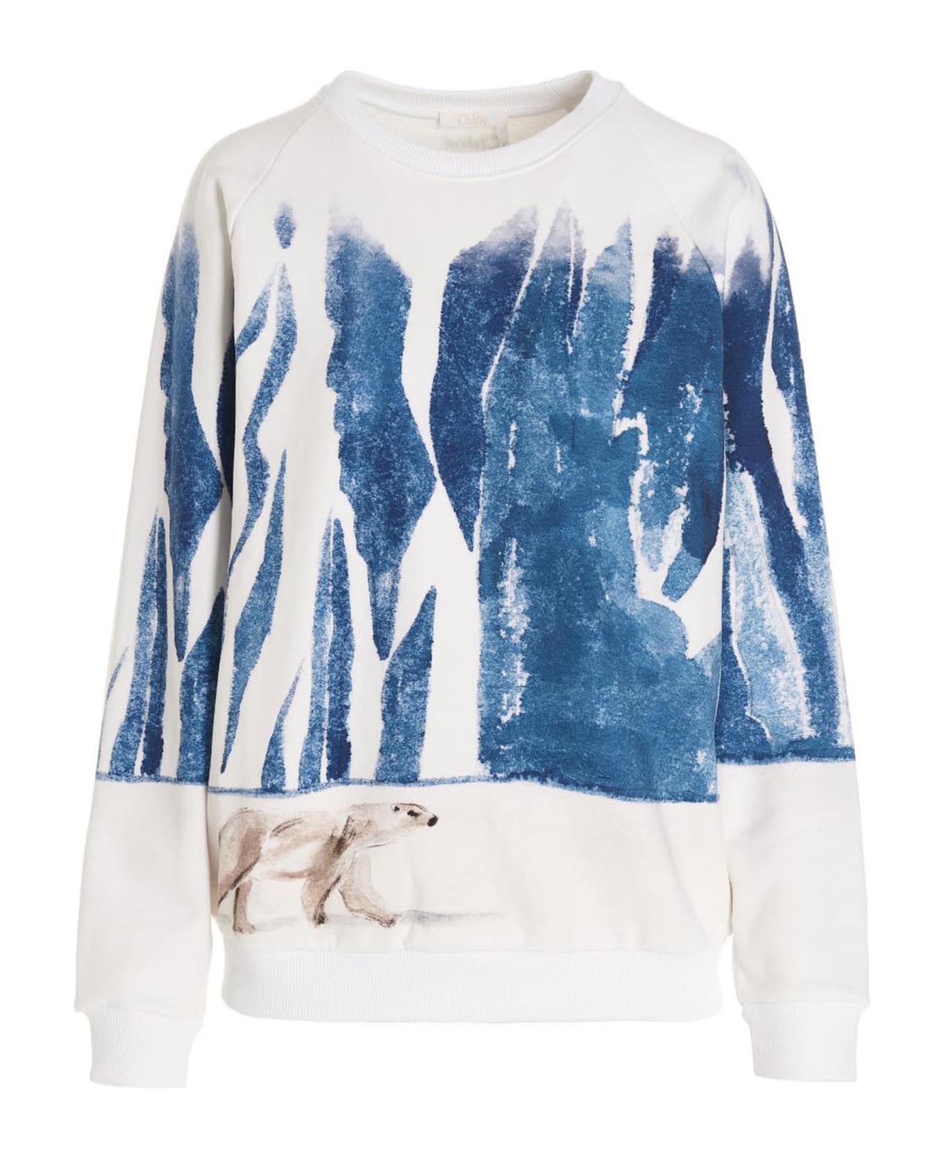 Chloé 'arctic Ice  Sweatshirt - Multicolor
