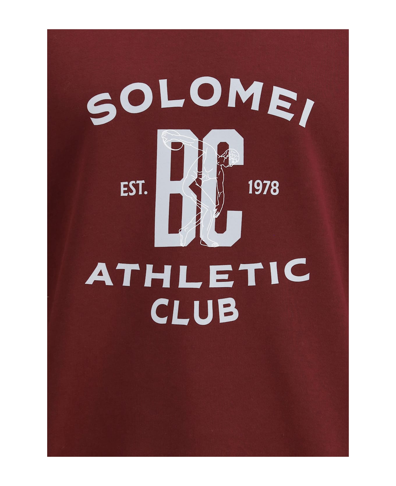 Brunello Cucinelli Maxi Print Sweatshirt - Bordeaux