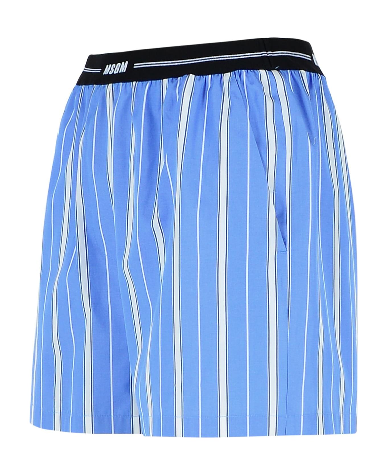 MSGM Cotton Shorts - Blue
