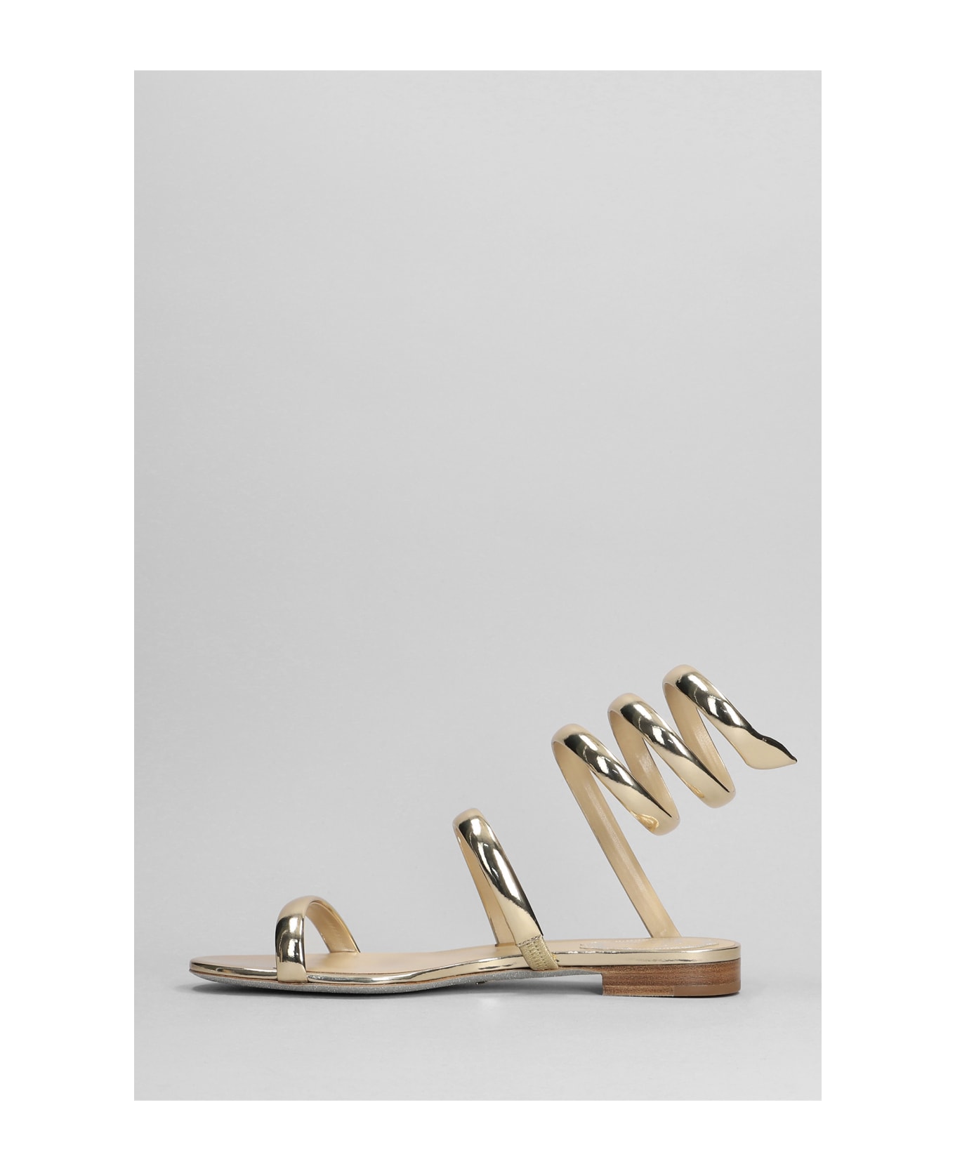 René Caovilla Serpente Sandals In Gold Leather - Gold サンダル