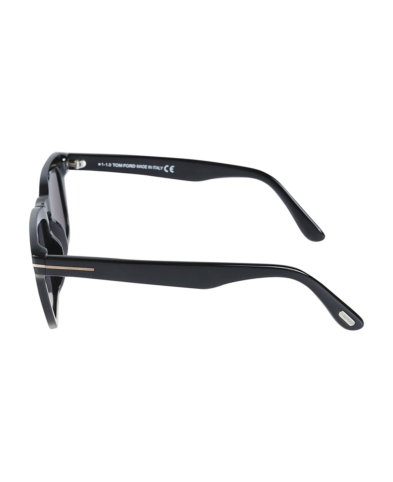 Tom Ford Eyewear Dax Sunglasses - 52N