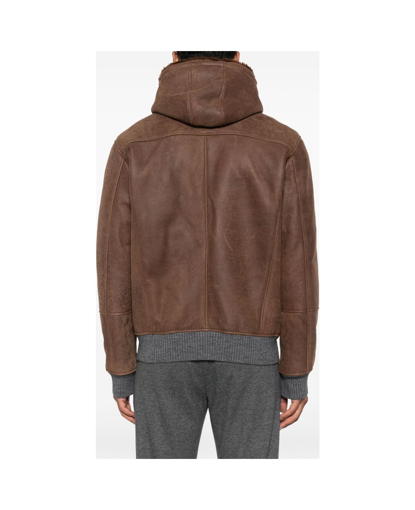 Barba Napoli Barba Hooded Bomber Jacket - Brown