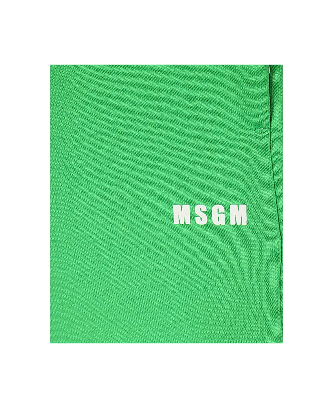 MSGM Cotton Bermuda Shorts - green