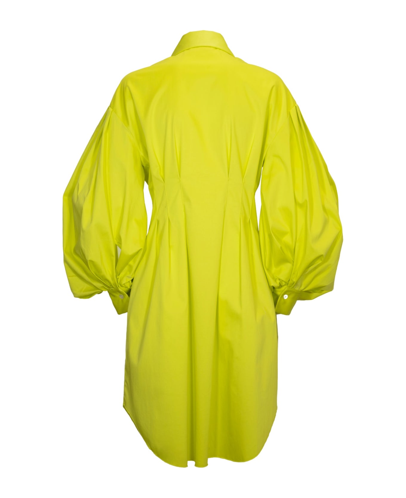 Sara Battaglia Butterfly Dress - Cedro