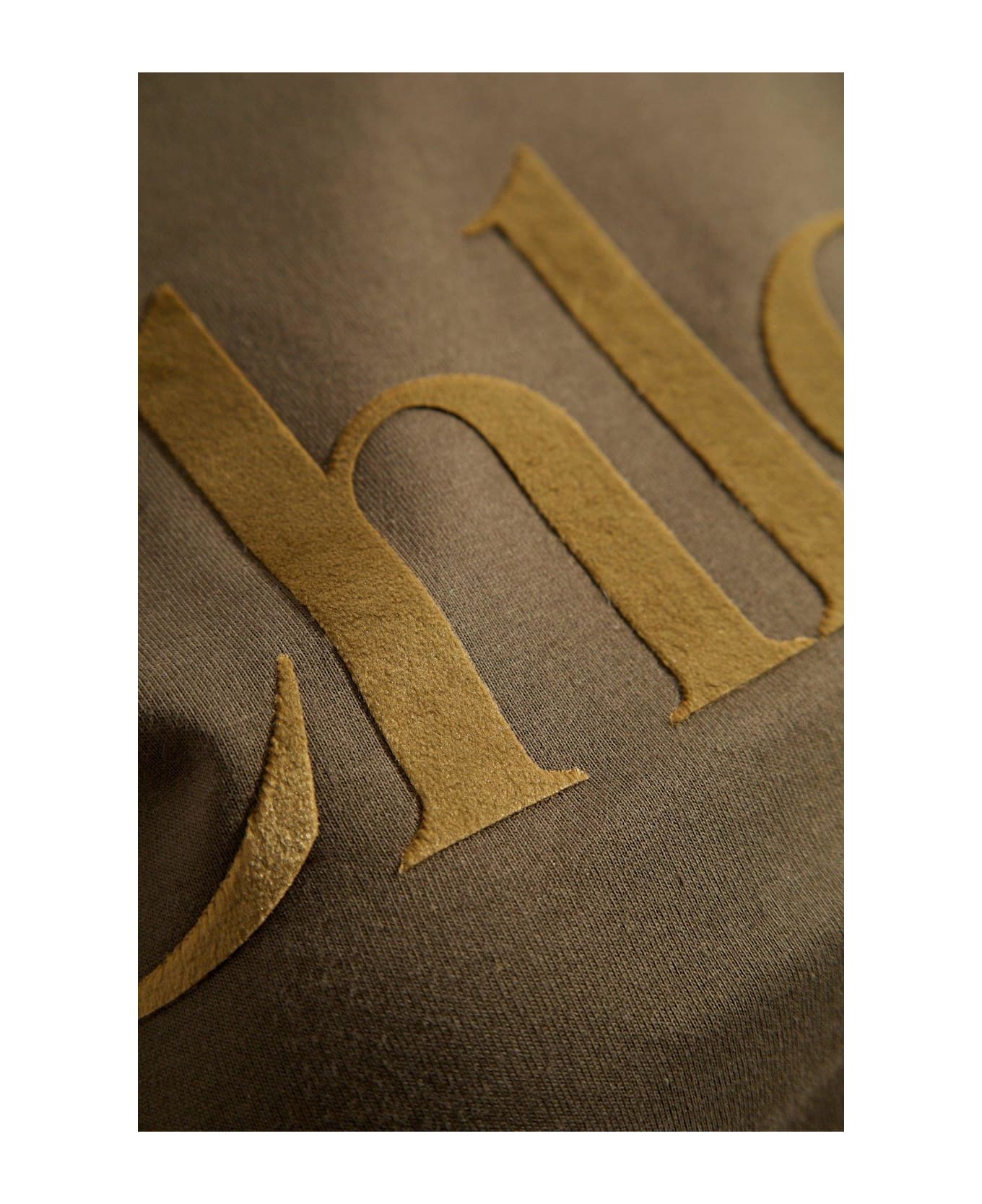 Chloé Velvet-logo Crewneck T-shirt - BROWN