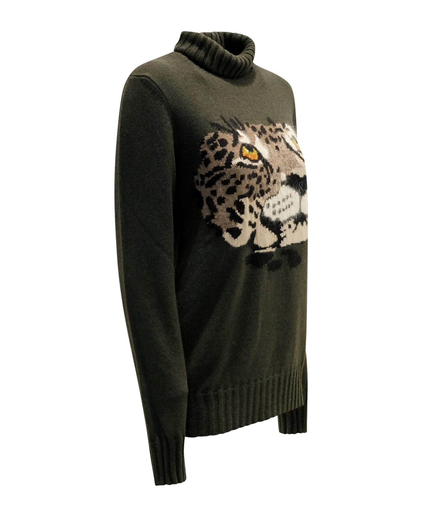 Parosh Lachloe Fantasy Olive Sweater ニットウェア