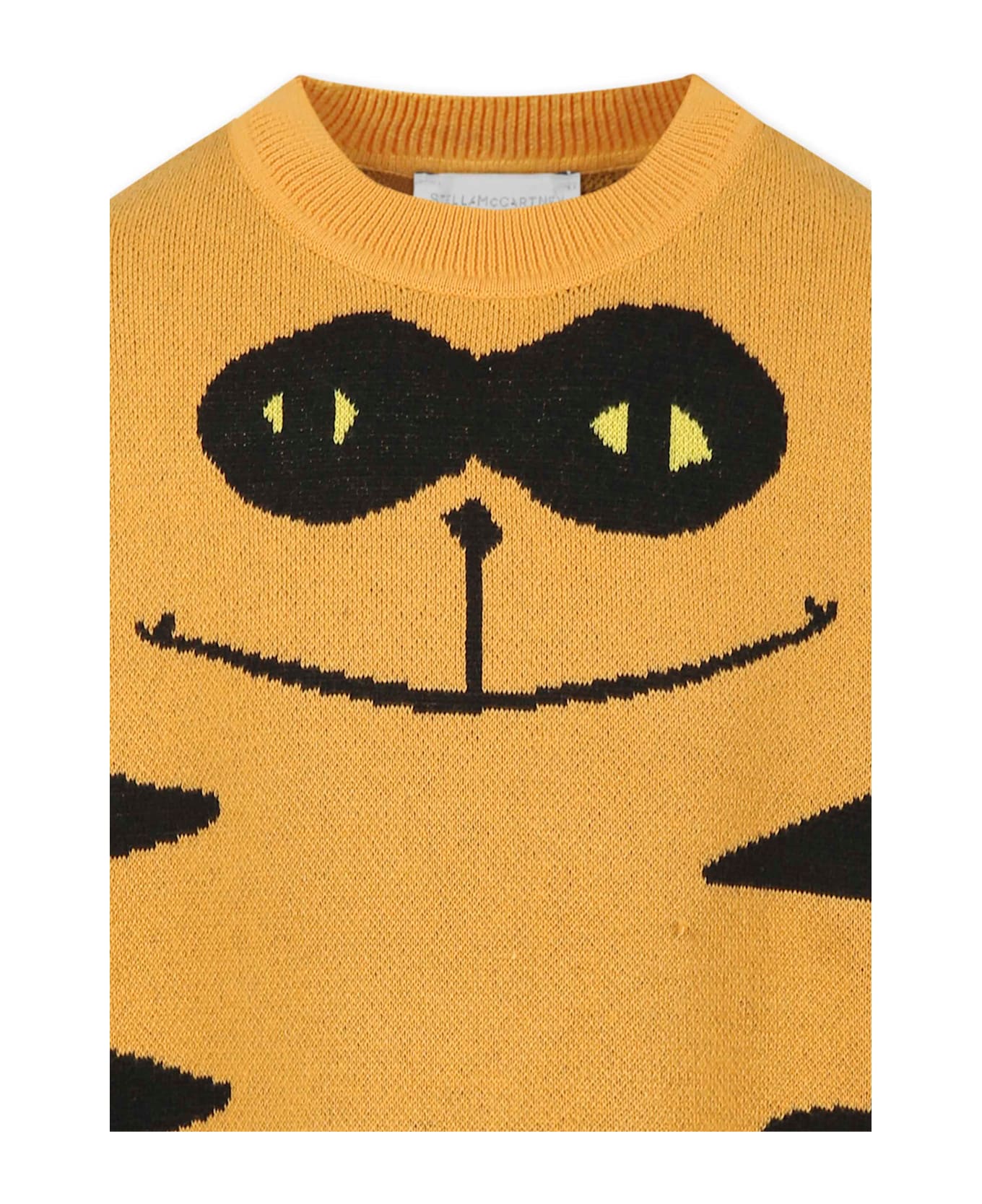 Stella McCartney Kids Orange Sweater For Boy With Cat - Orange