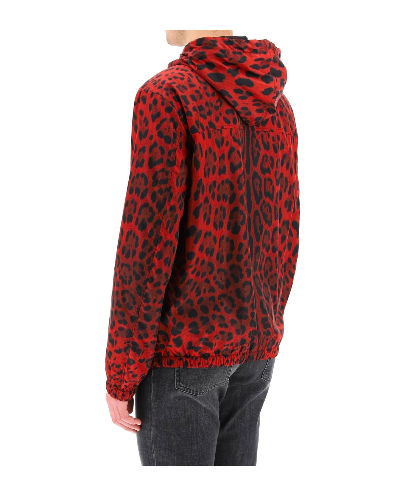 Dolce & Gabbana Jacket With Animal Print - Red
