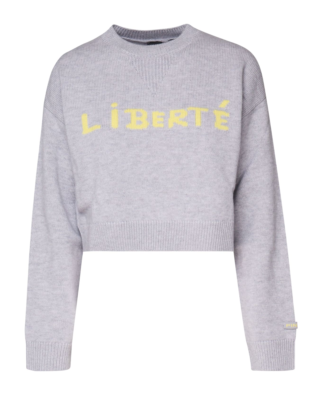 Pinko Kohona Sweatshirt - Grey