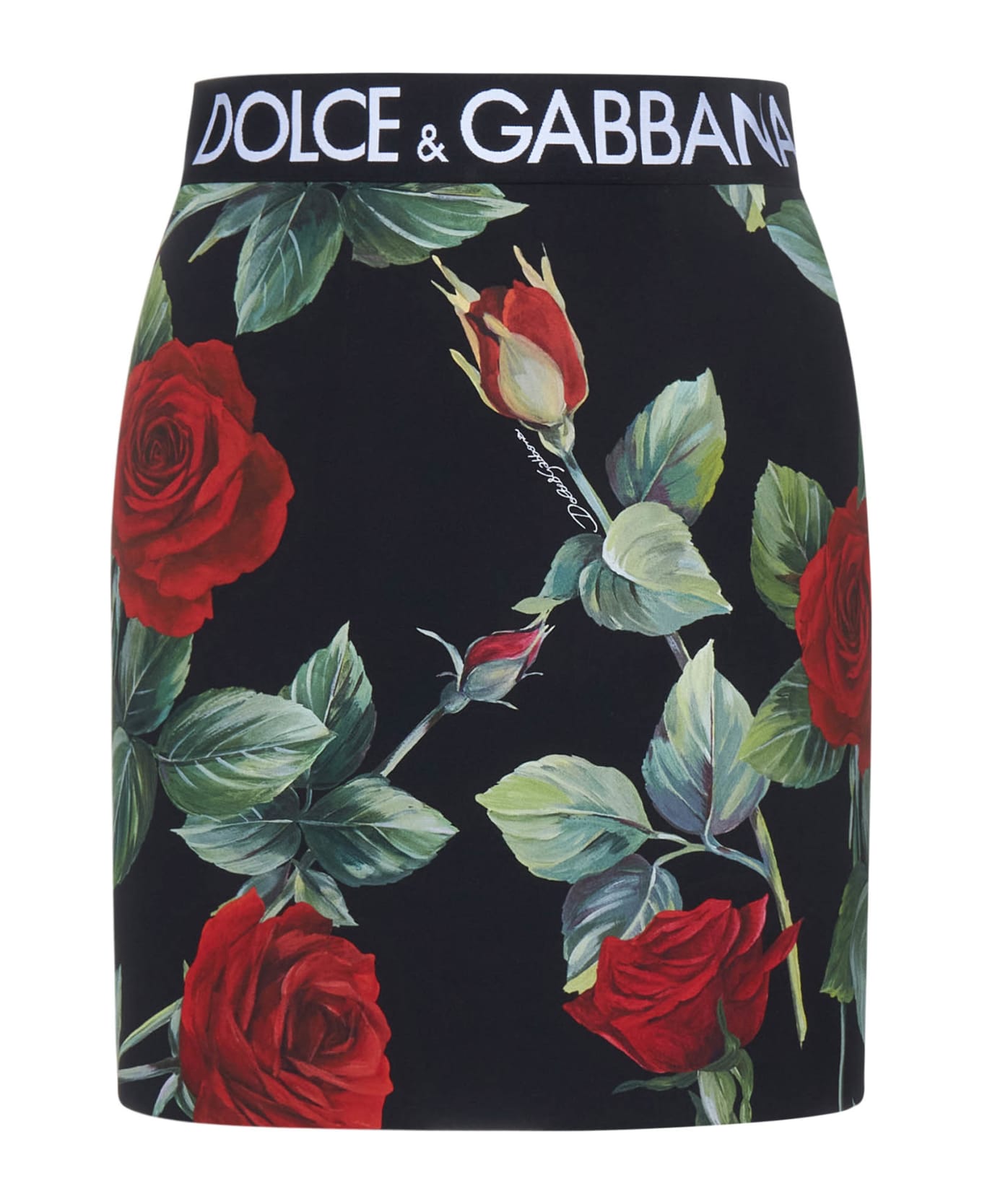 Dolce & Gabbana Skirt - Rose fdo nero