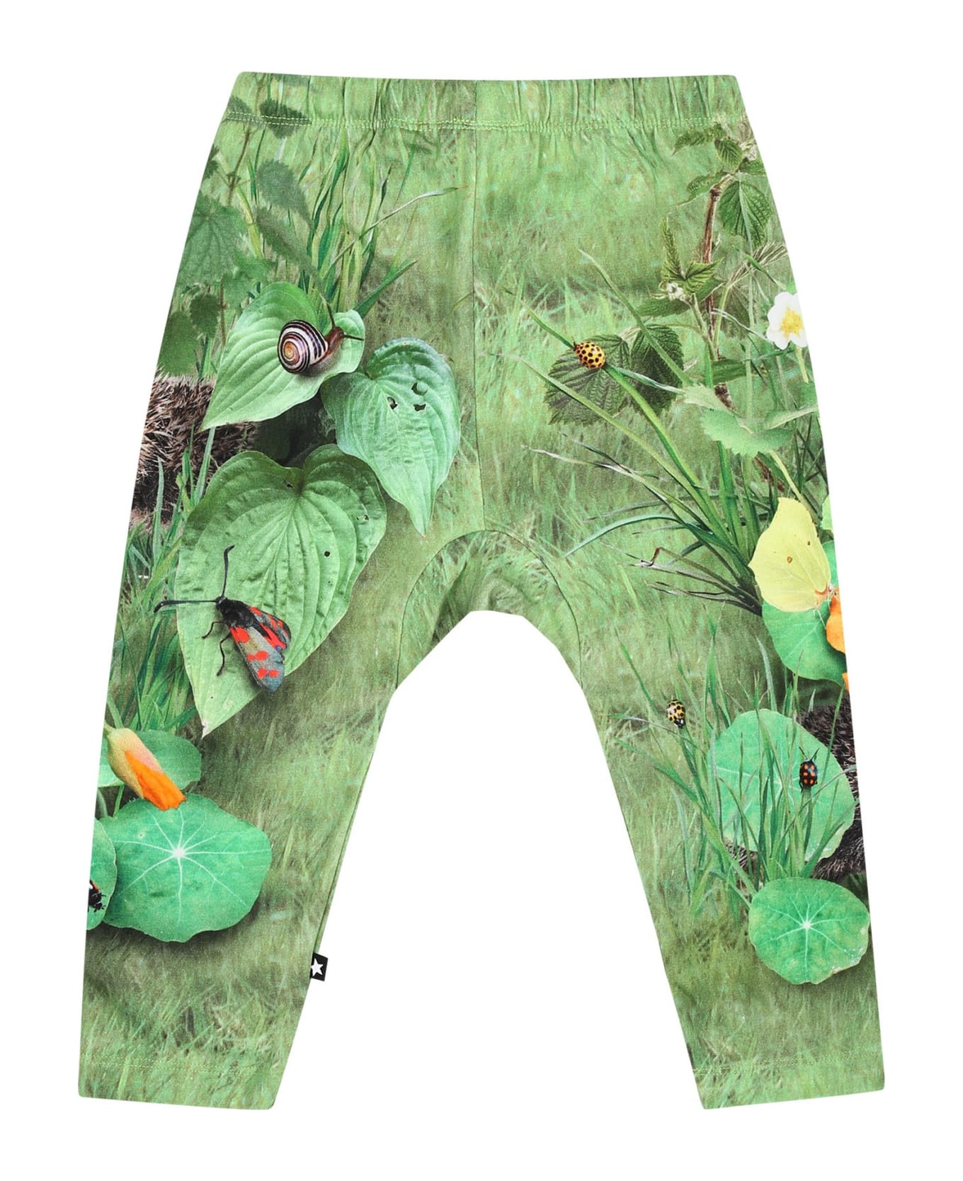 Molo Green Sports Trousers For Baby Kids - Multicolor