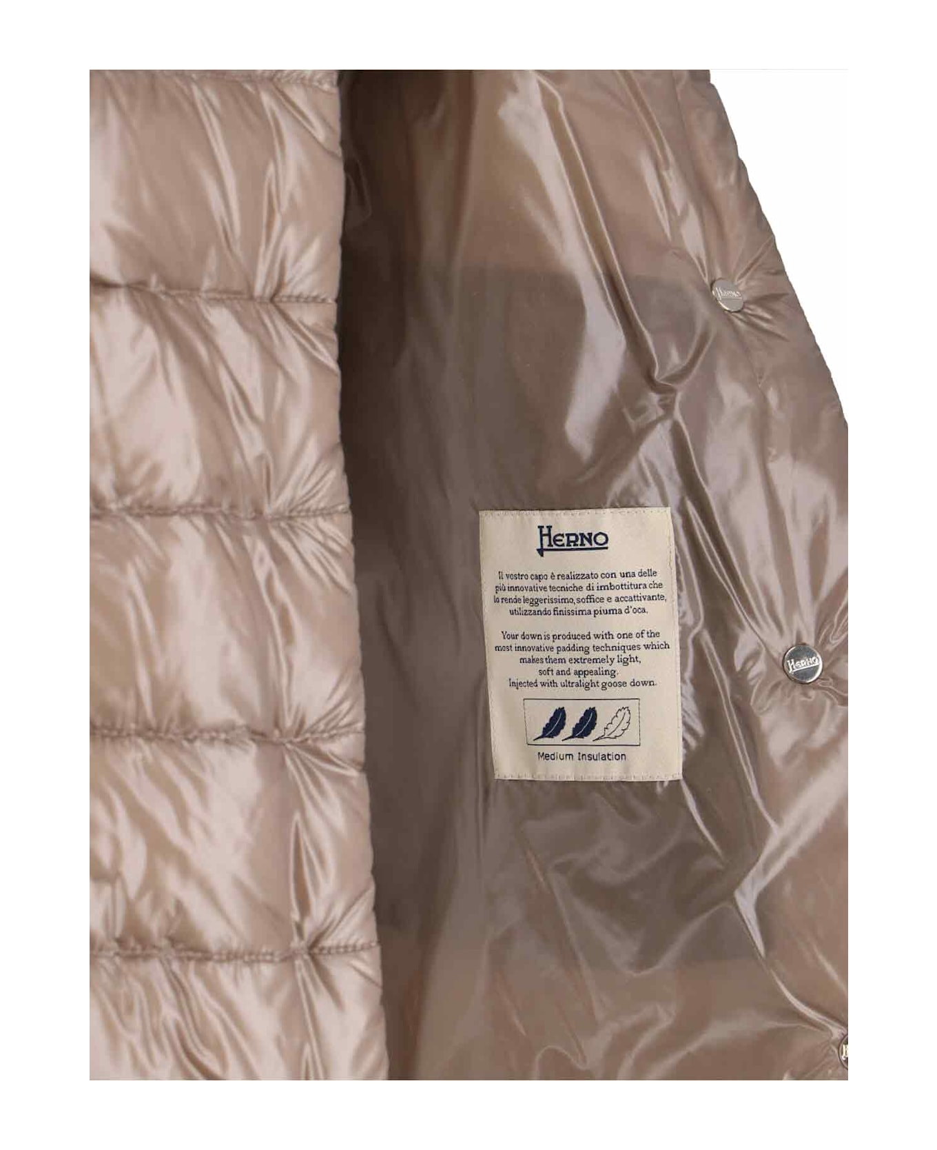 Herno 'amelia' Down Jacket - TORTORA