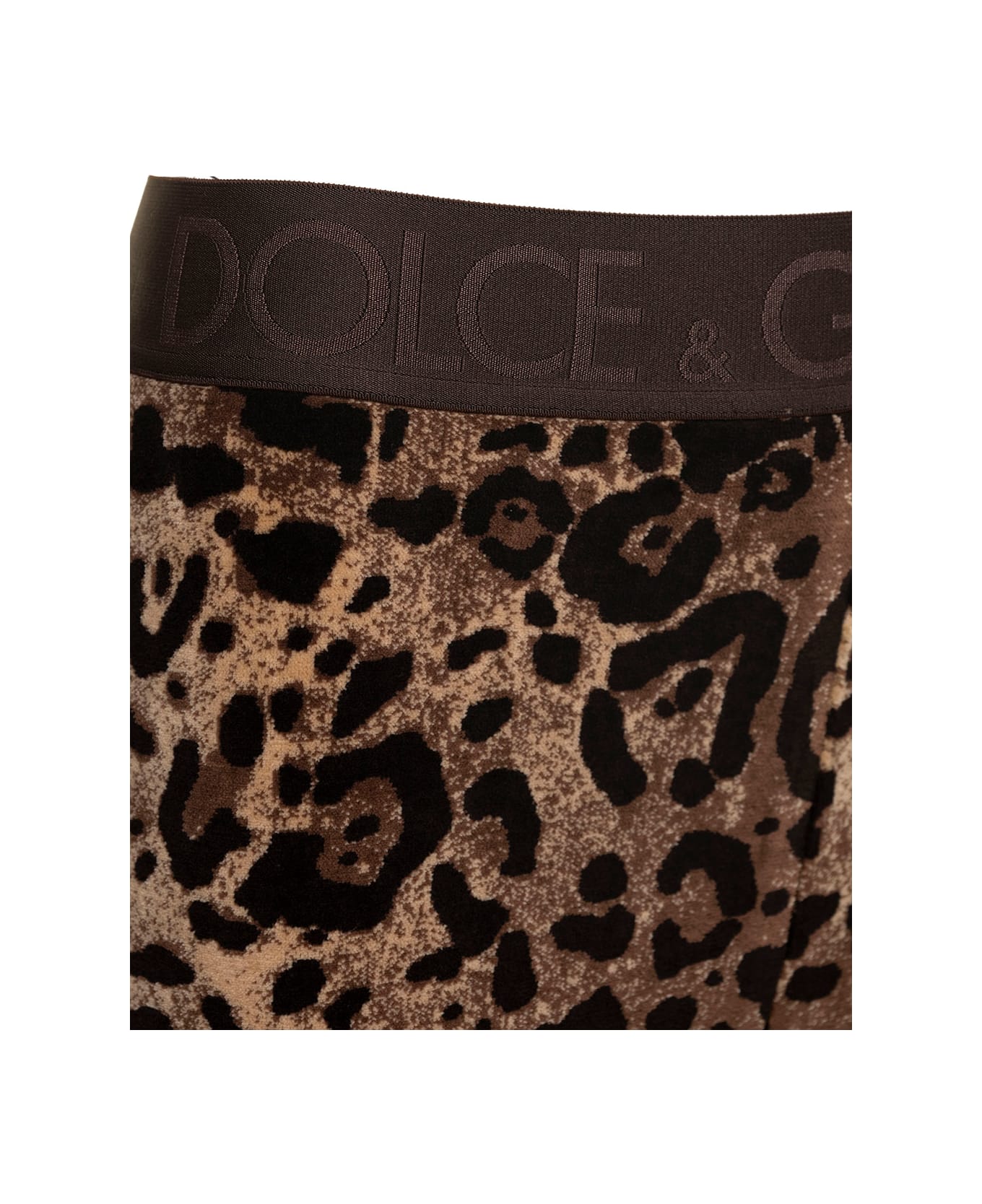 Dolce & Gabbana Animalier Velour Leggings