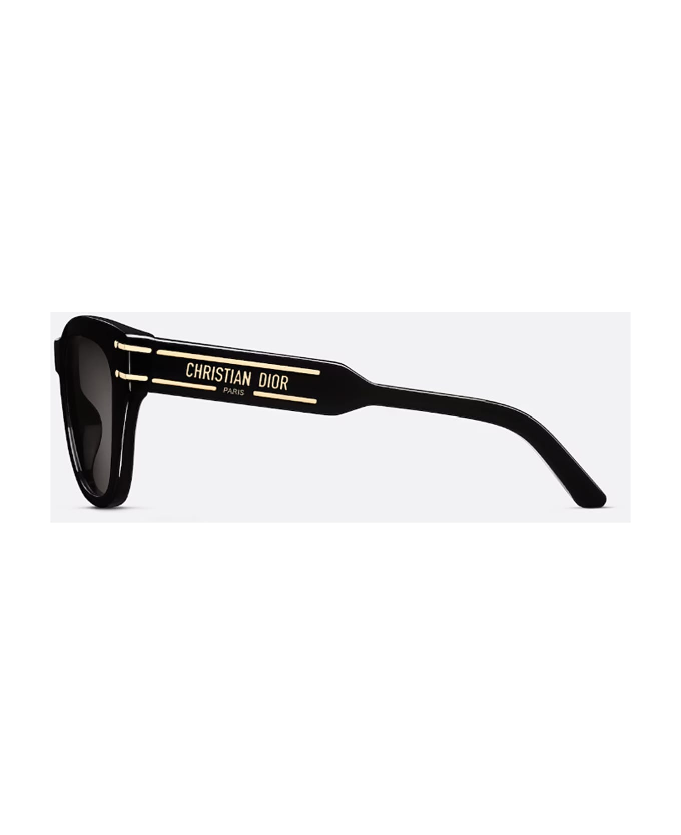 Dior Eyewear DIORSIGNATURE B4I Sunglasses サングラス