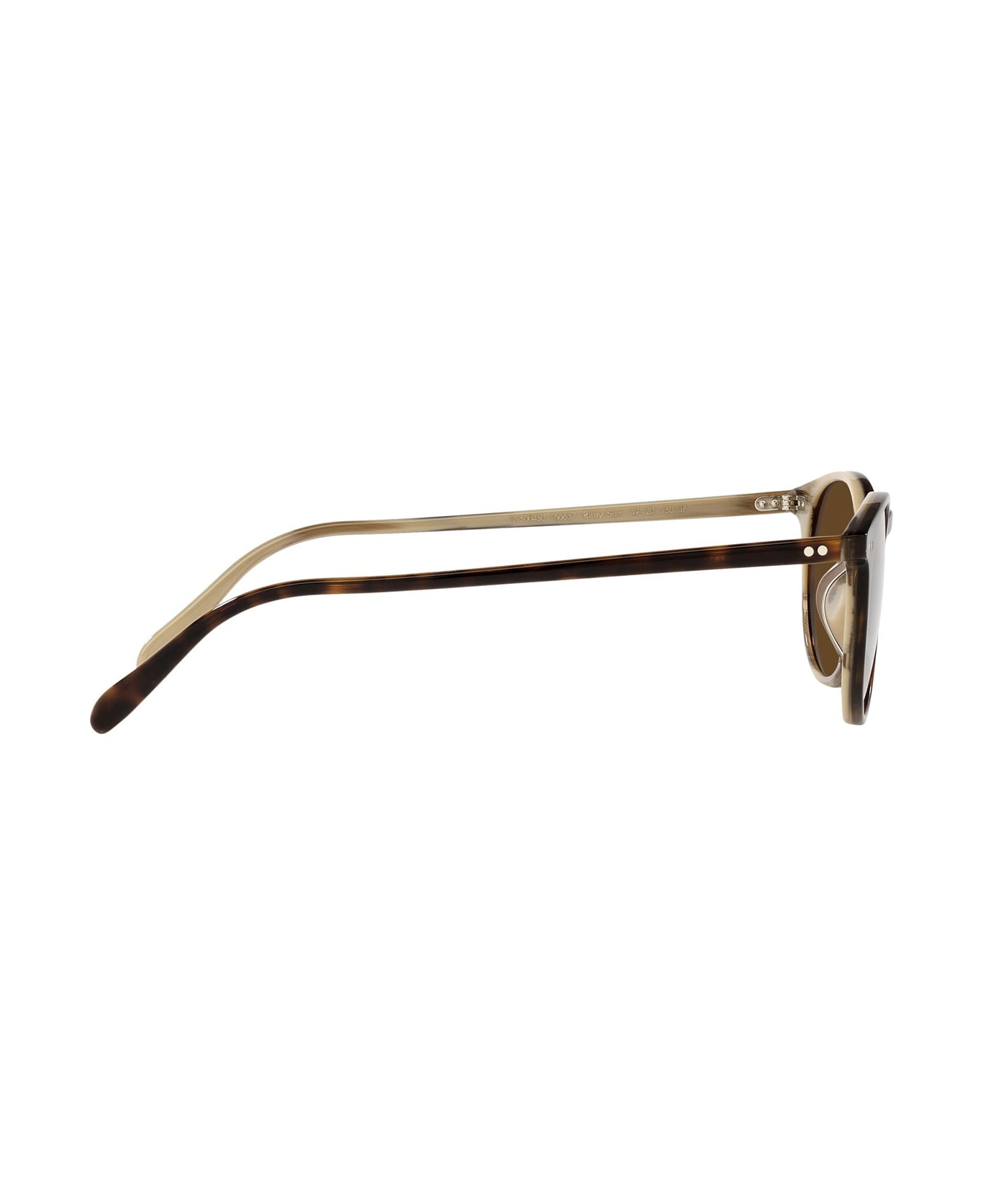 Oliver Peoples Ov5004su Horn Sunglasses - Horn