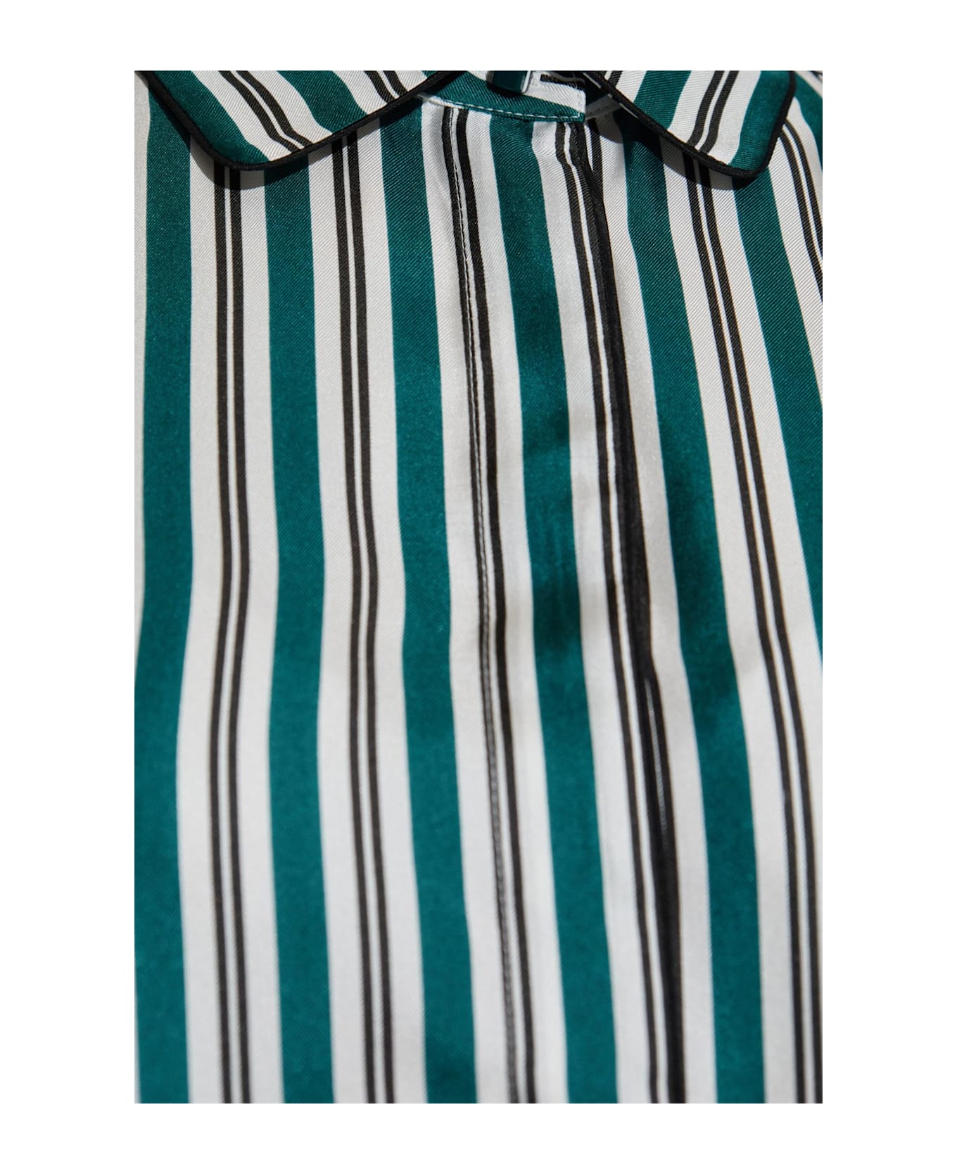 Max Mara Silk Shirt 'brama'