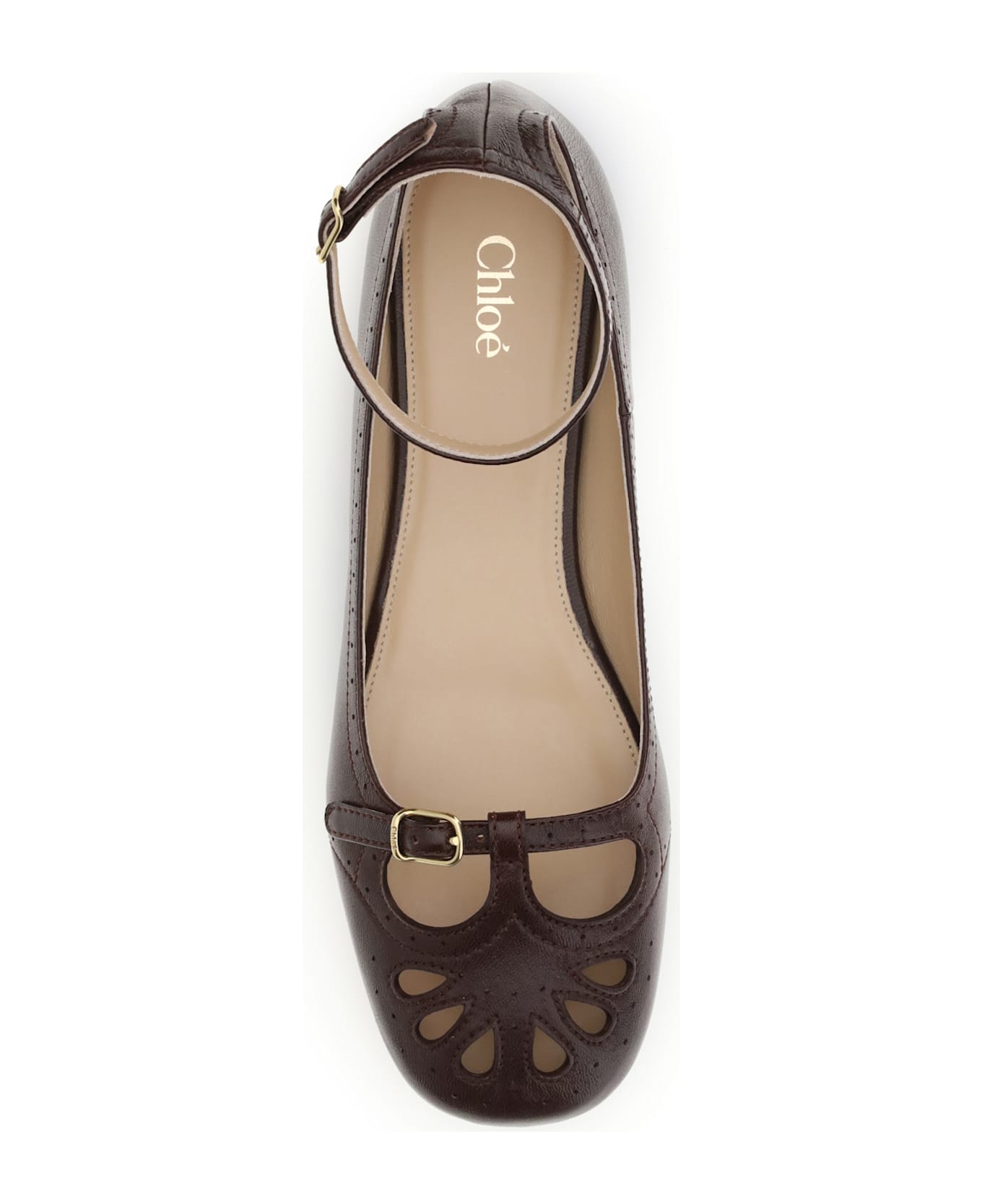 Chloé Ballerinas