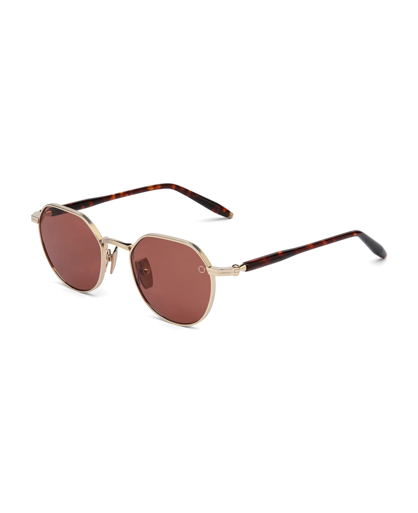 Akoni Themis - 12k Gold / Havana Sunglasses - havana/gold