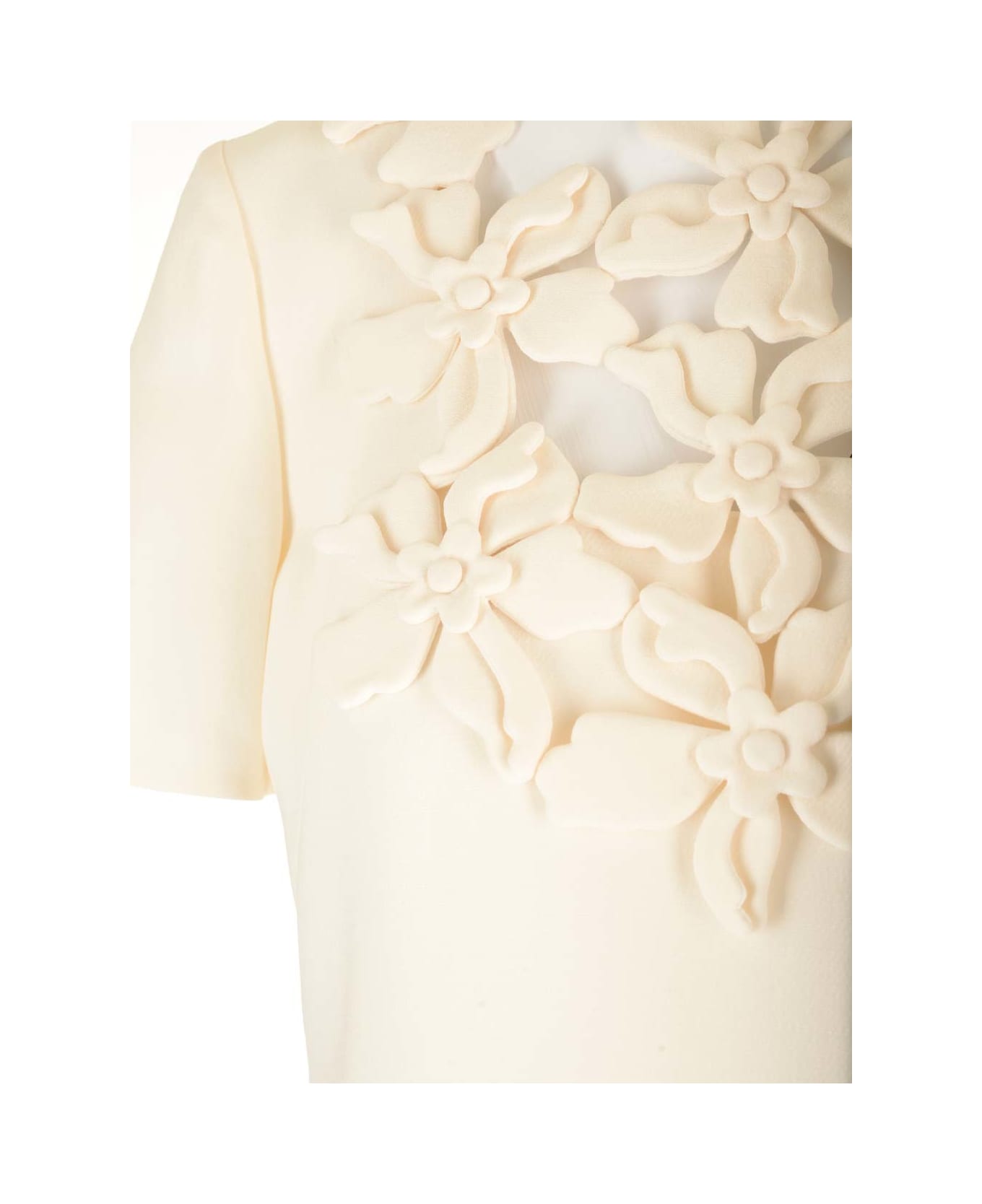Valentino 'hibiscus' Embroidery Mini Dress - White