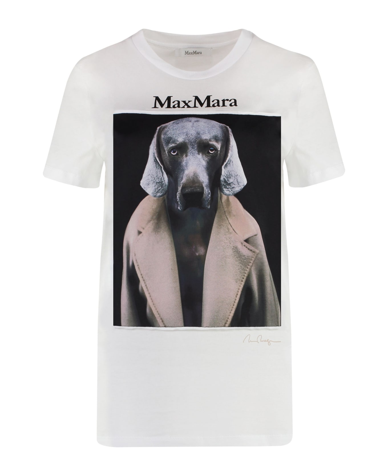 Max Mara Cipria Printed T-shirt - WHITE