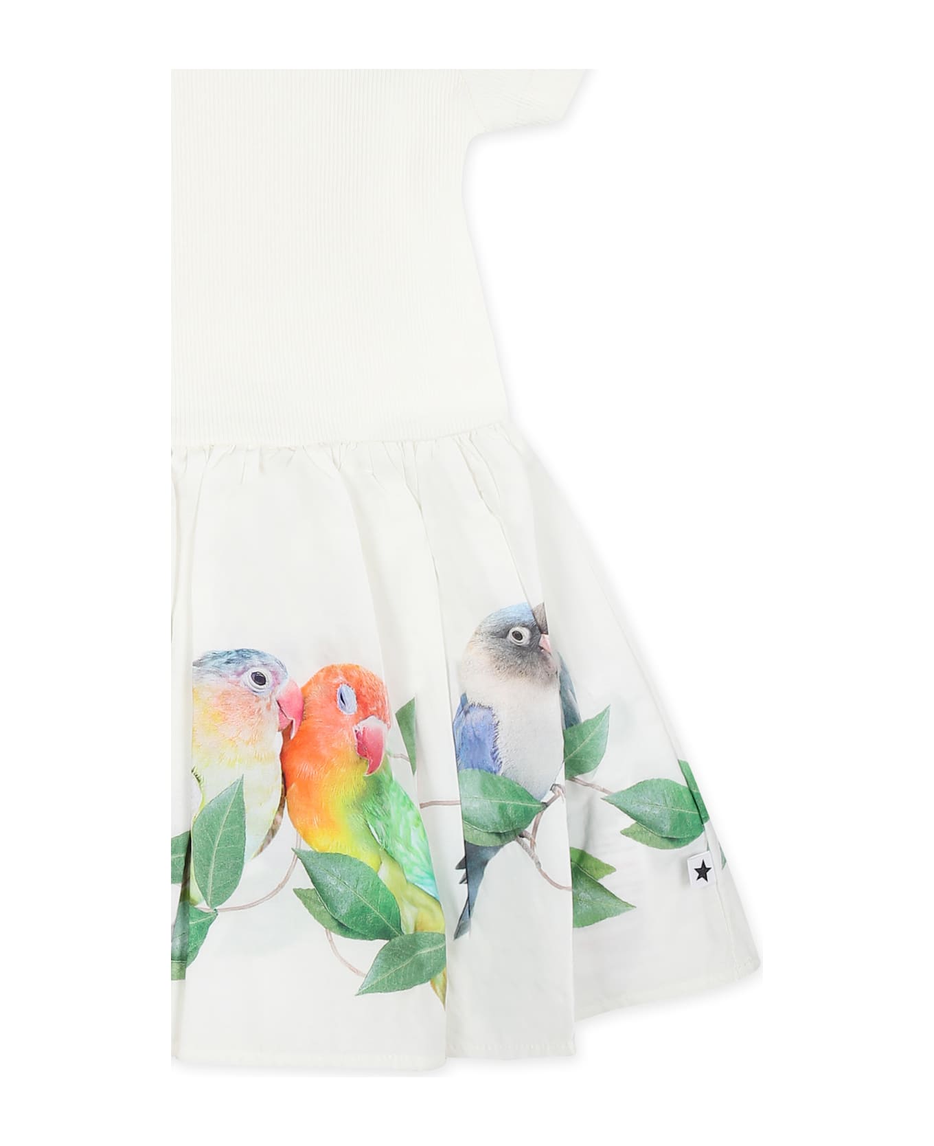 Molo White Dress For Baby Girl With Parrots - White