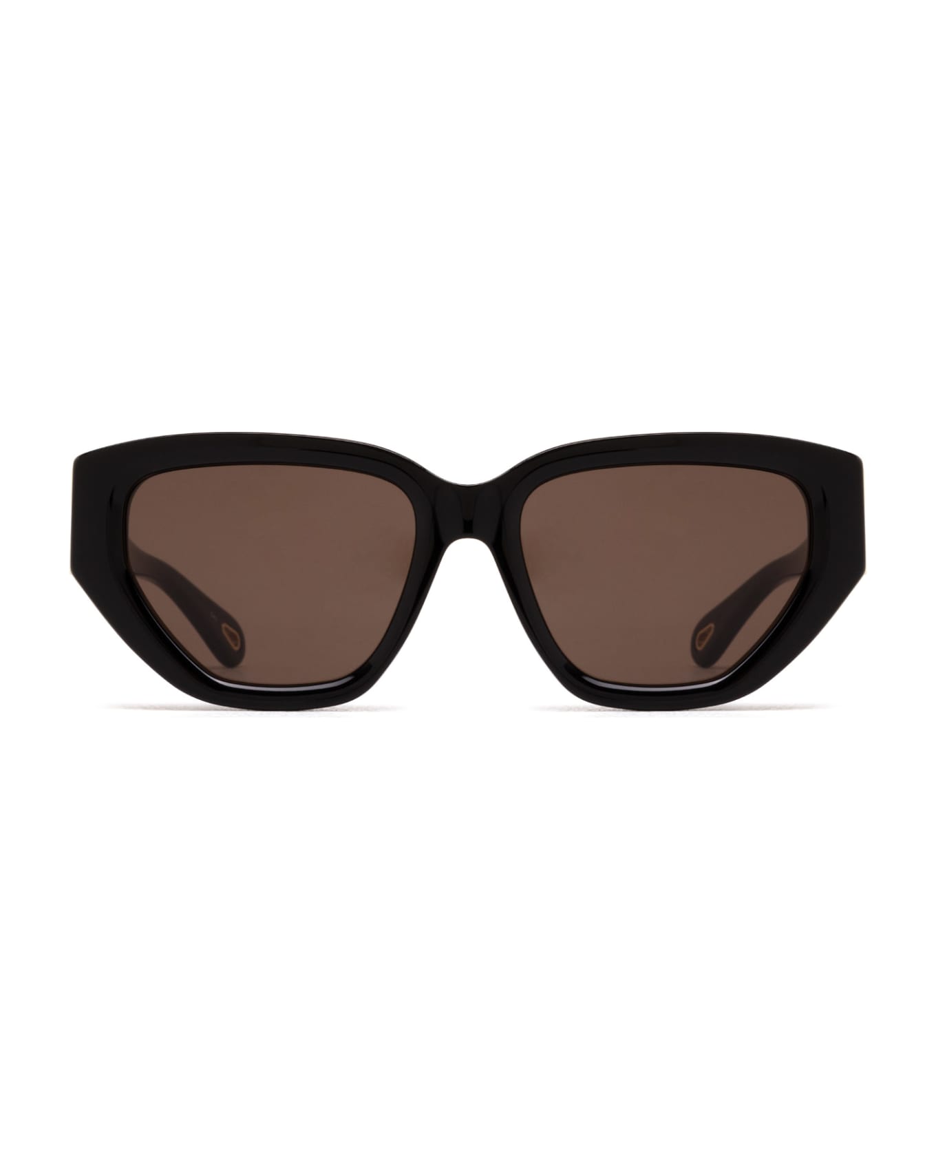 Chloé Eyewear Ch0235s Black Sunglasses - Black サングラス