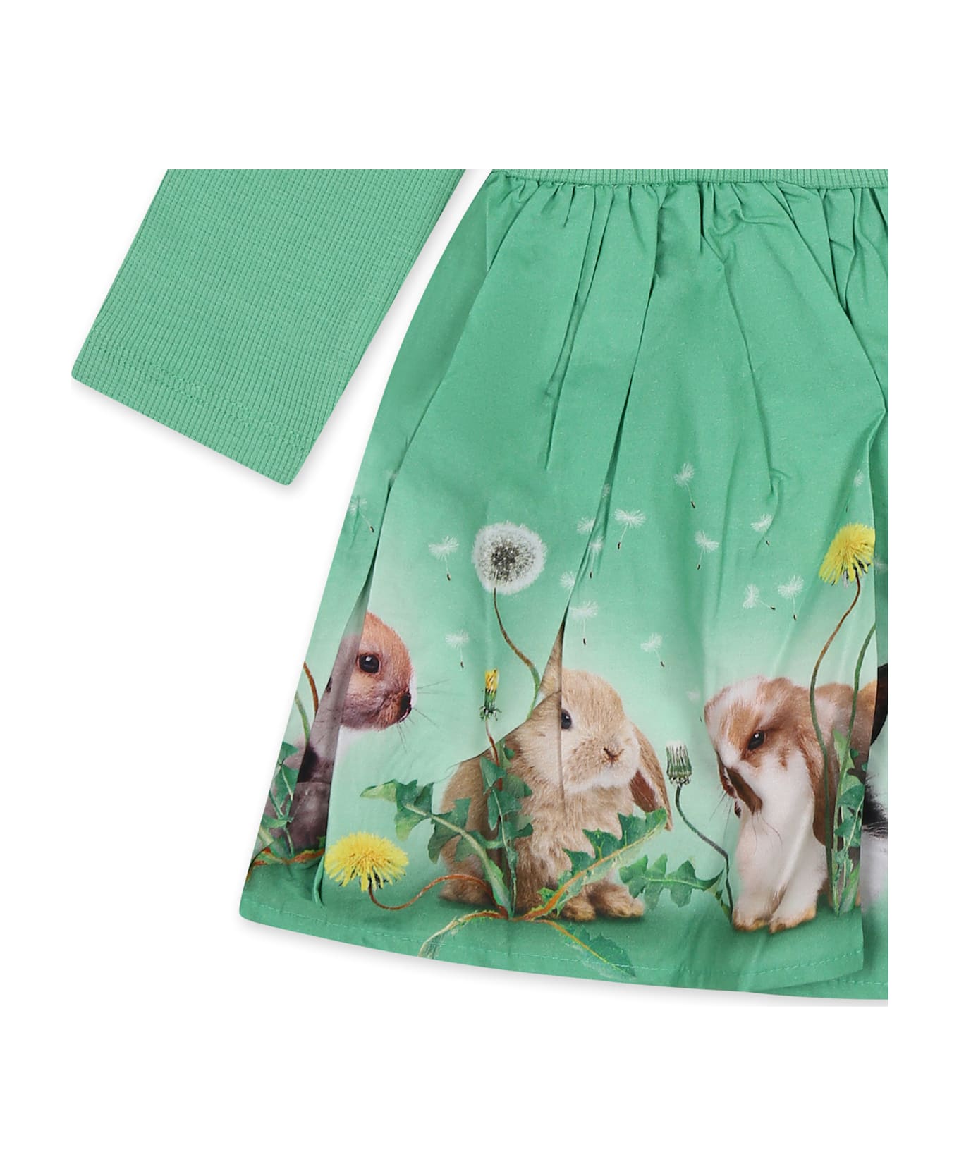 Molo Green Dress For Baby Girl With Rabbit - Green