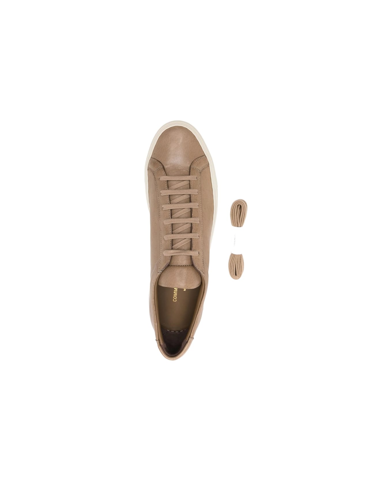 Common Projects Shoe - BROWN