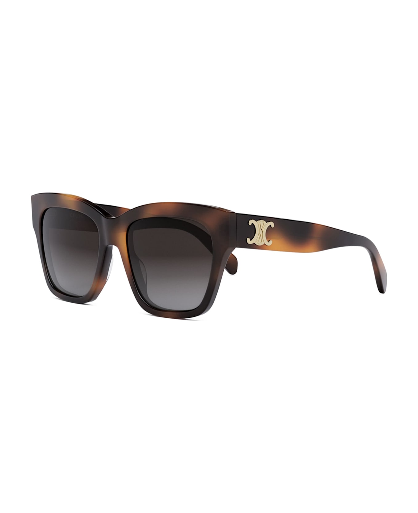 Celine Triomphe Cl40253i - Havana Sunglasses - Black