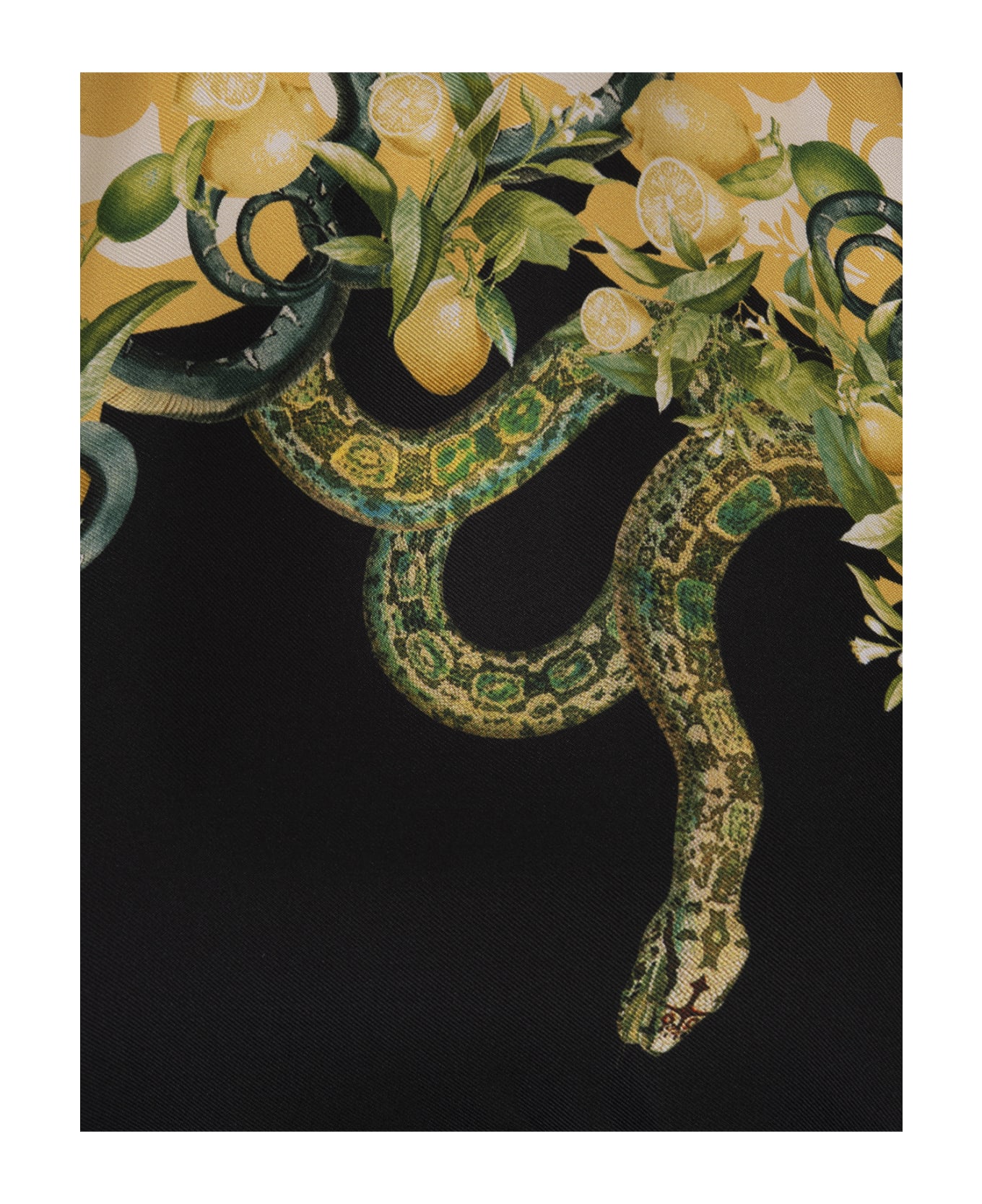 Roberto Cavalli Black Top With Snake Print - Black