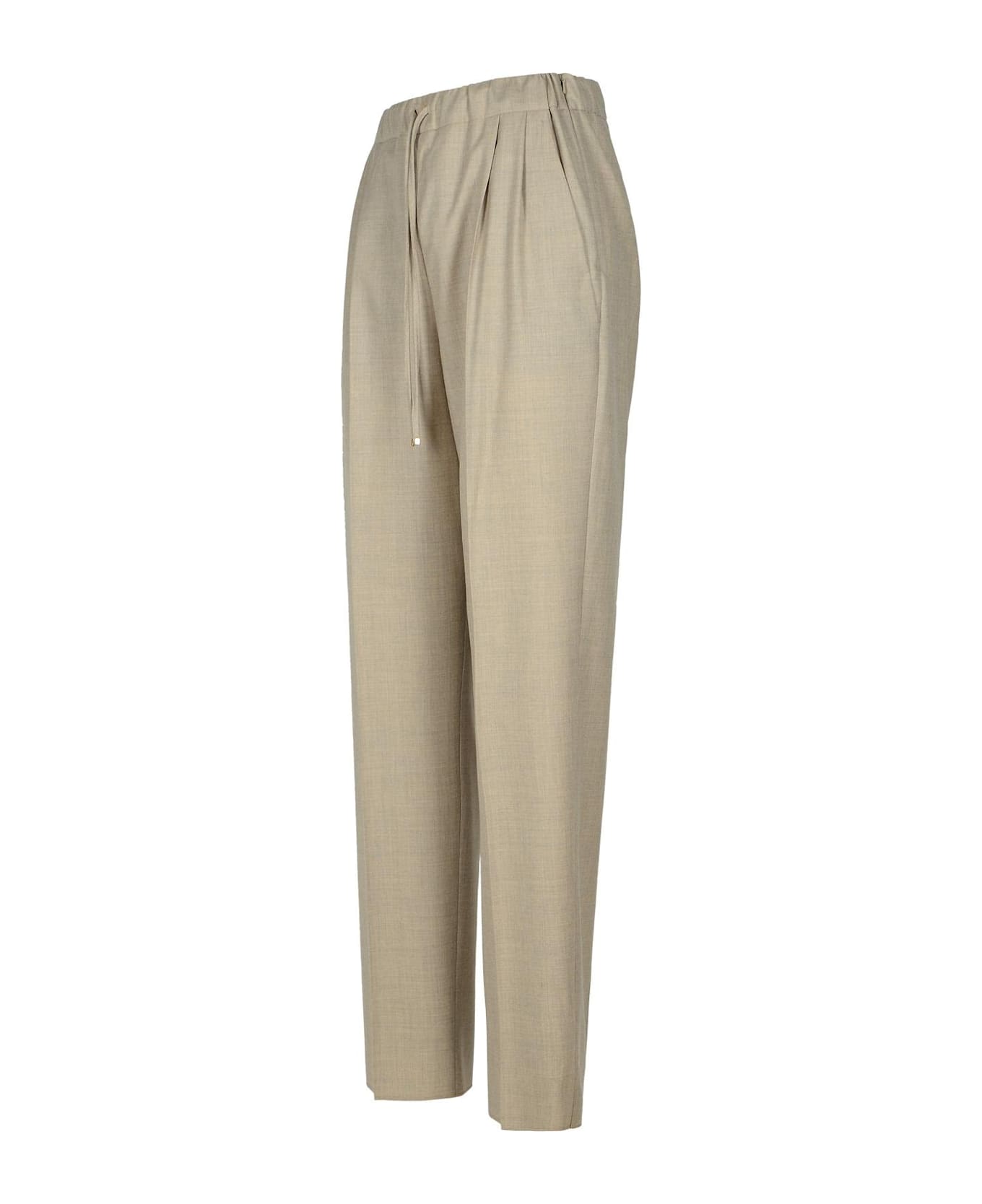 Max Mara Drawstring Straight Leg Pants - Sand