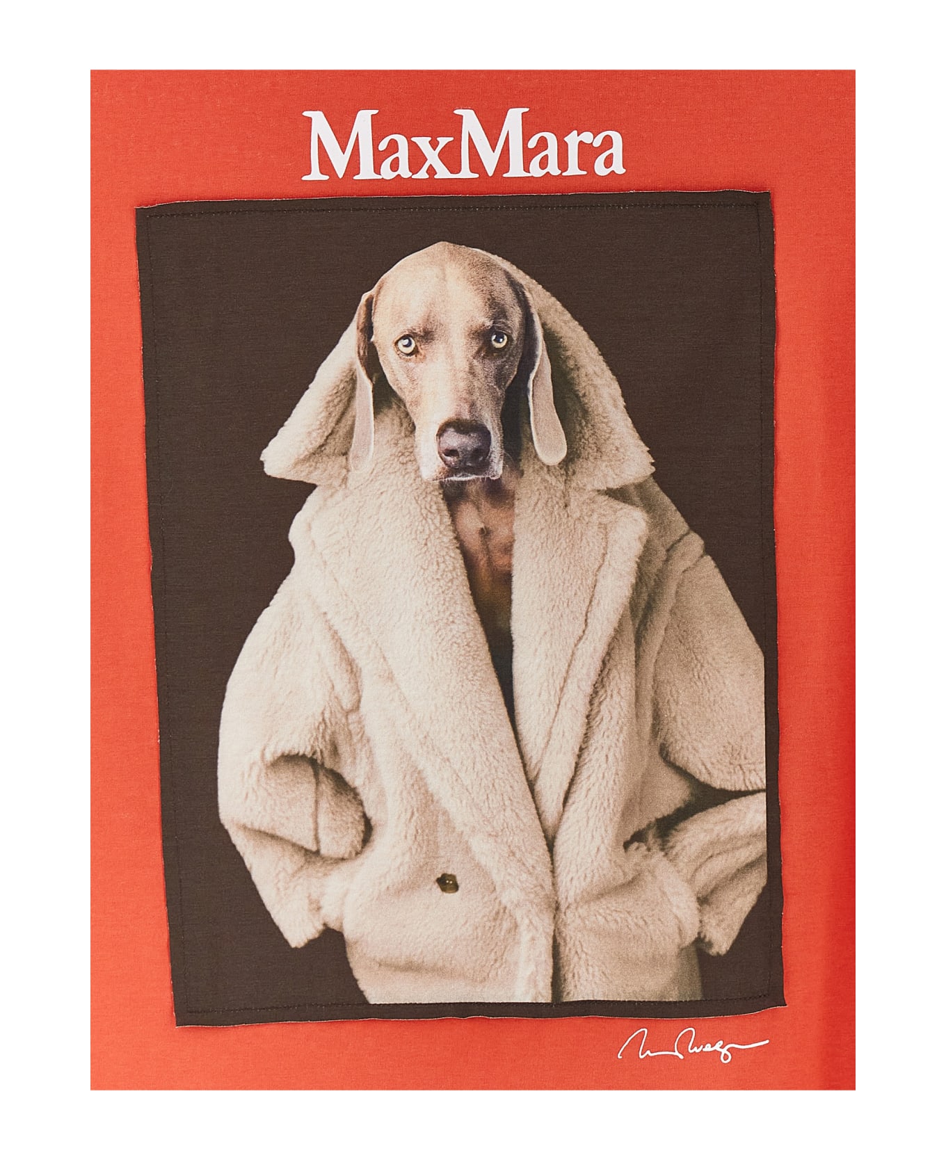 Max Mara 
valido
 Cardigan - Multicolor