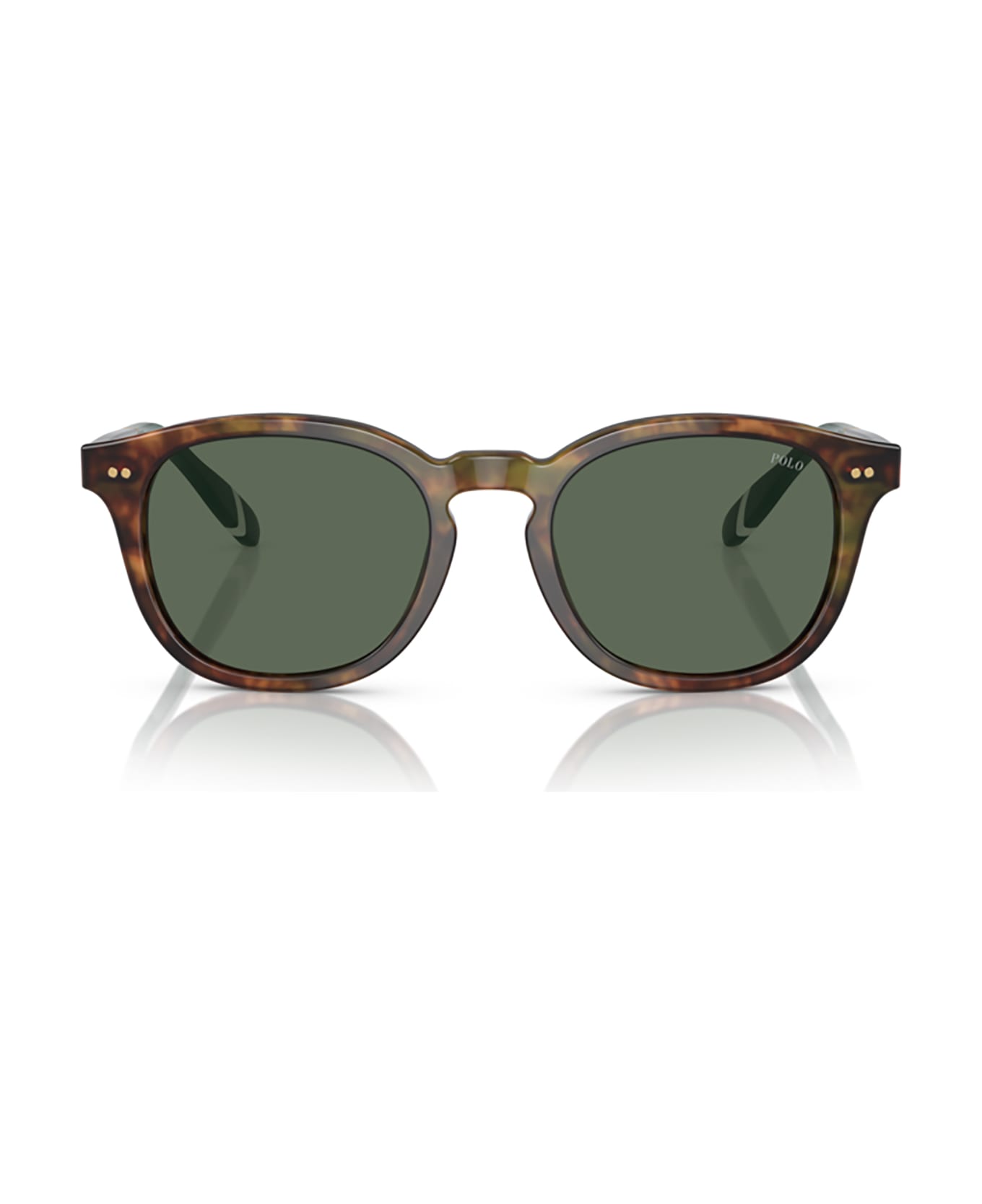 Polo Ralph Lauren Ph4206 Shiny Brown Tortoise Sunglasses - Shiny brown tortoise
