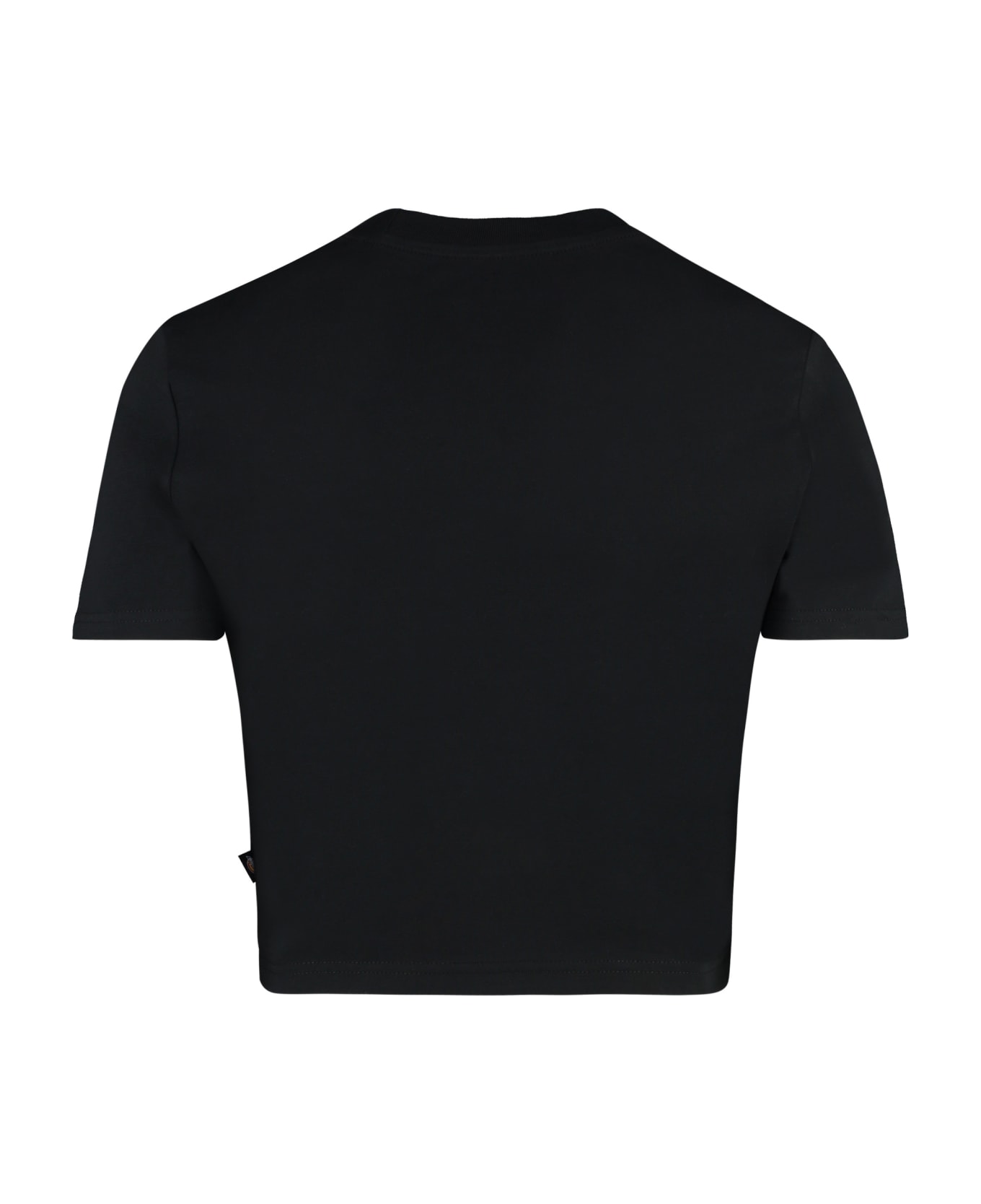 Dickies Maple Valley Logo Detail Cropped T-shirt - black