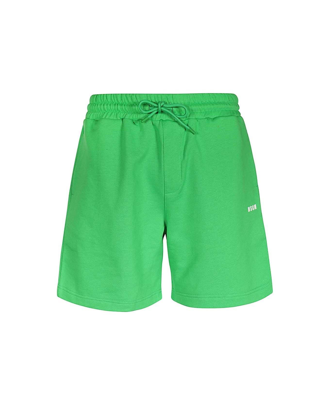 MSGM Cotton Bermuda Shorts - green