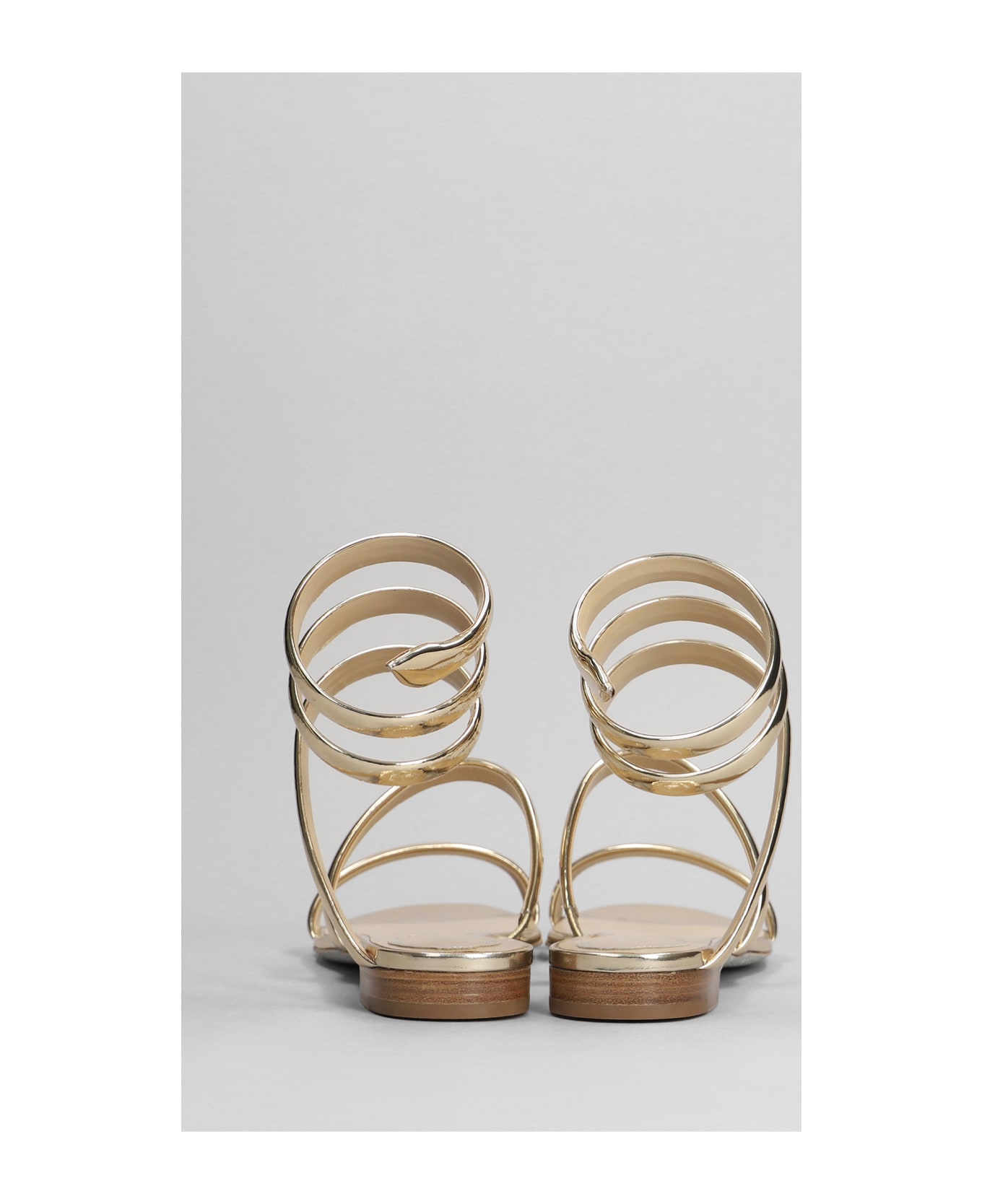 René Caovilla Serpente Sandals In Gold Leather - Gold