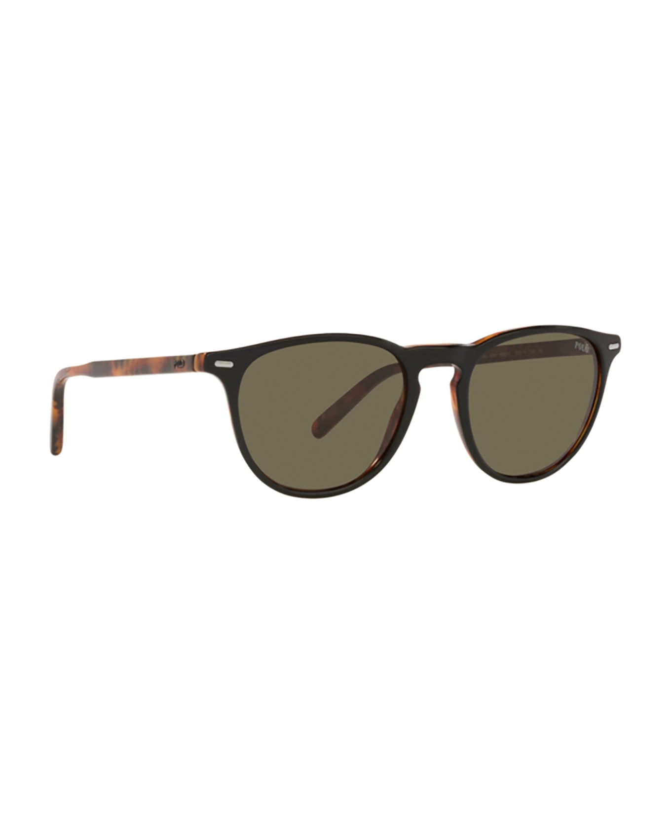 Polo Ralph Lauren Ph4181 Shiny Black Havana Sunglasses - Shiny black havana
