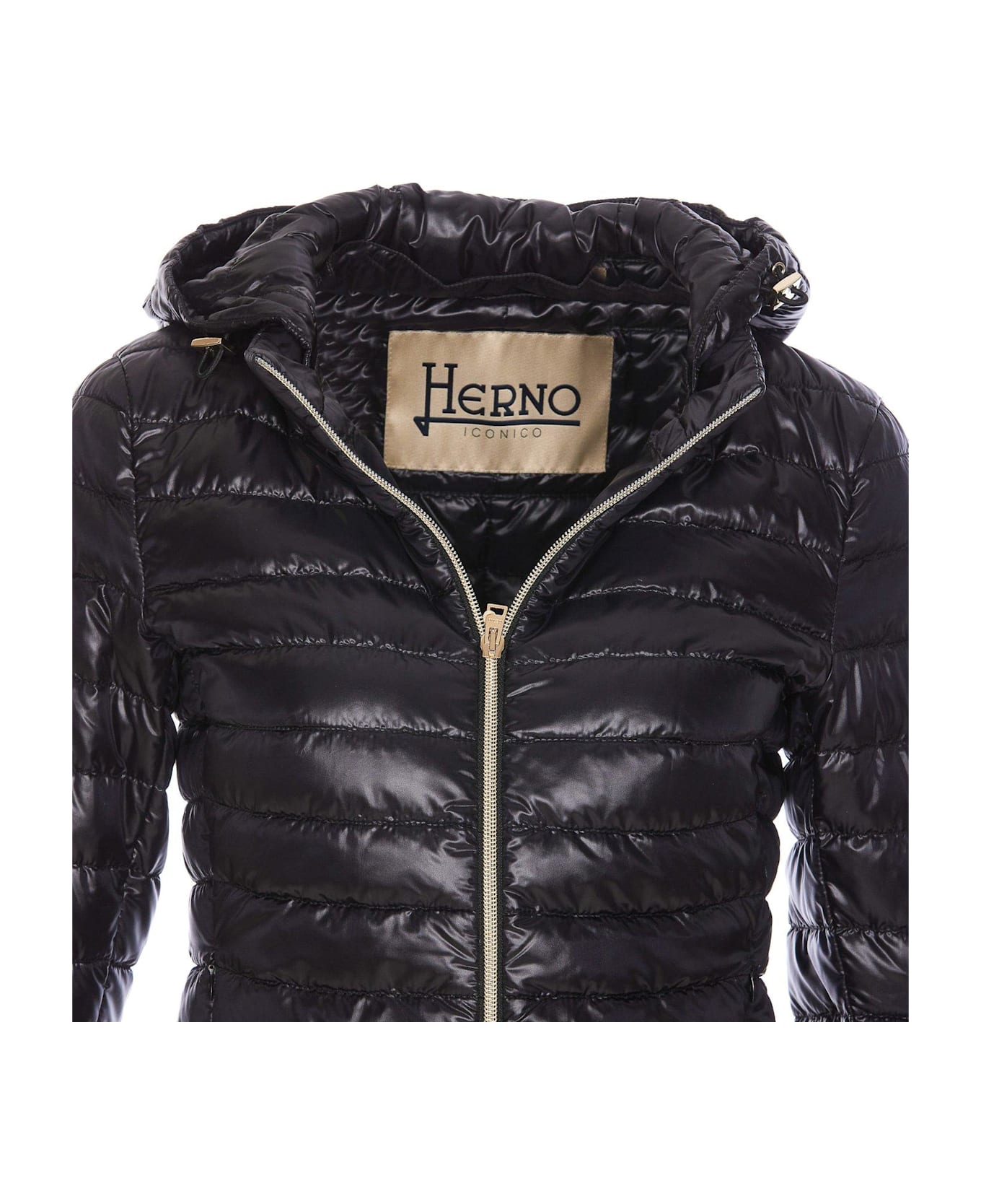 Herno Zip-up Hooded Down Jacket - BLACK