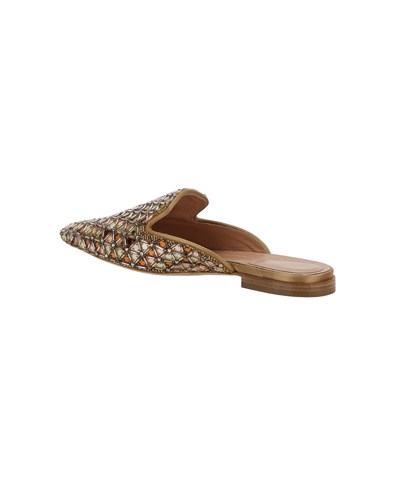 Alberta Ferretti Brown Mules With Embroideries In Leather And Acetate Woman - Beige