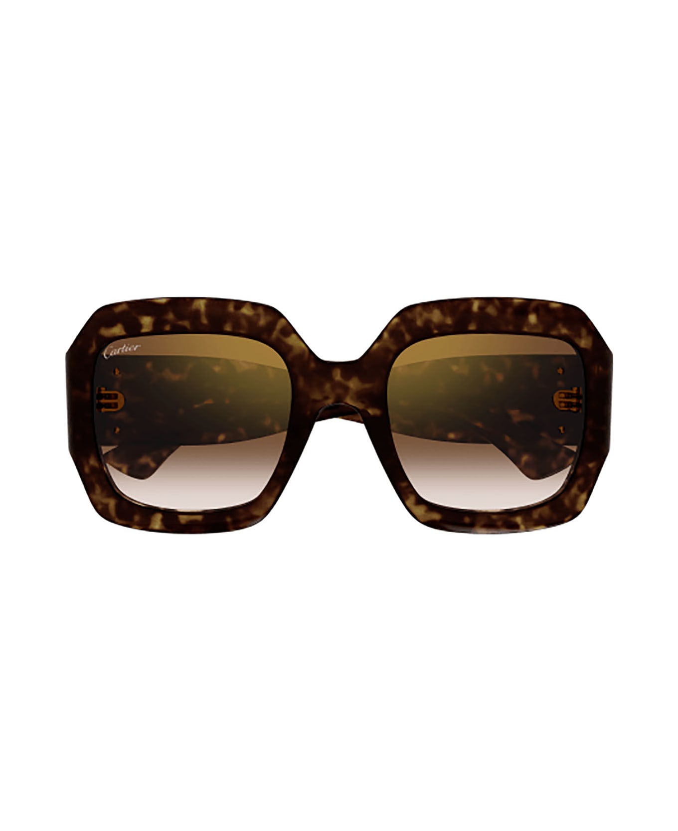 Cartier Eyewear Ct0434s Sunglasses - Havana Havana Brown サングラス