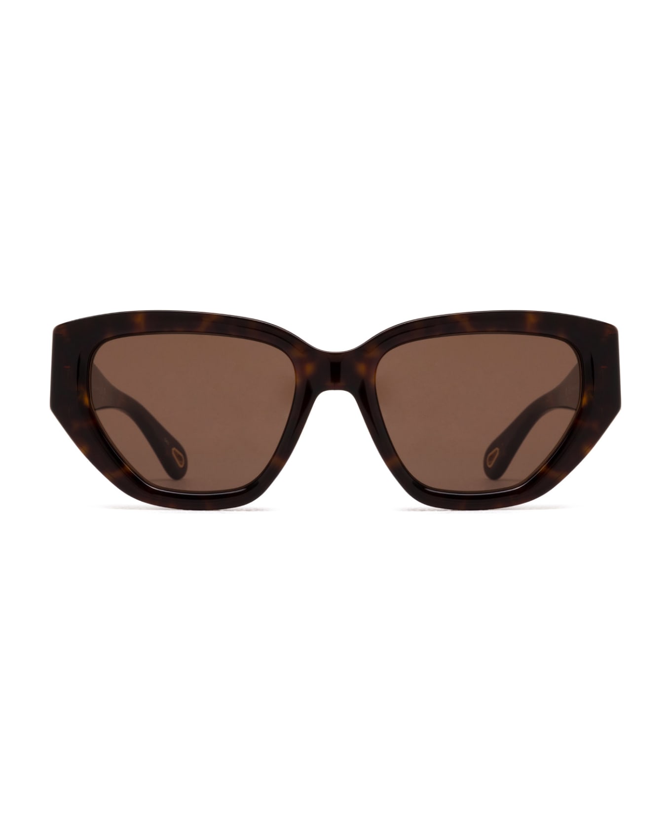 Chloé Eyewear Ch0235s Havana Sunglasses - Havana